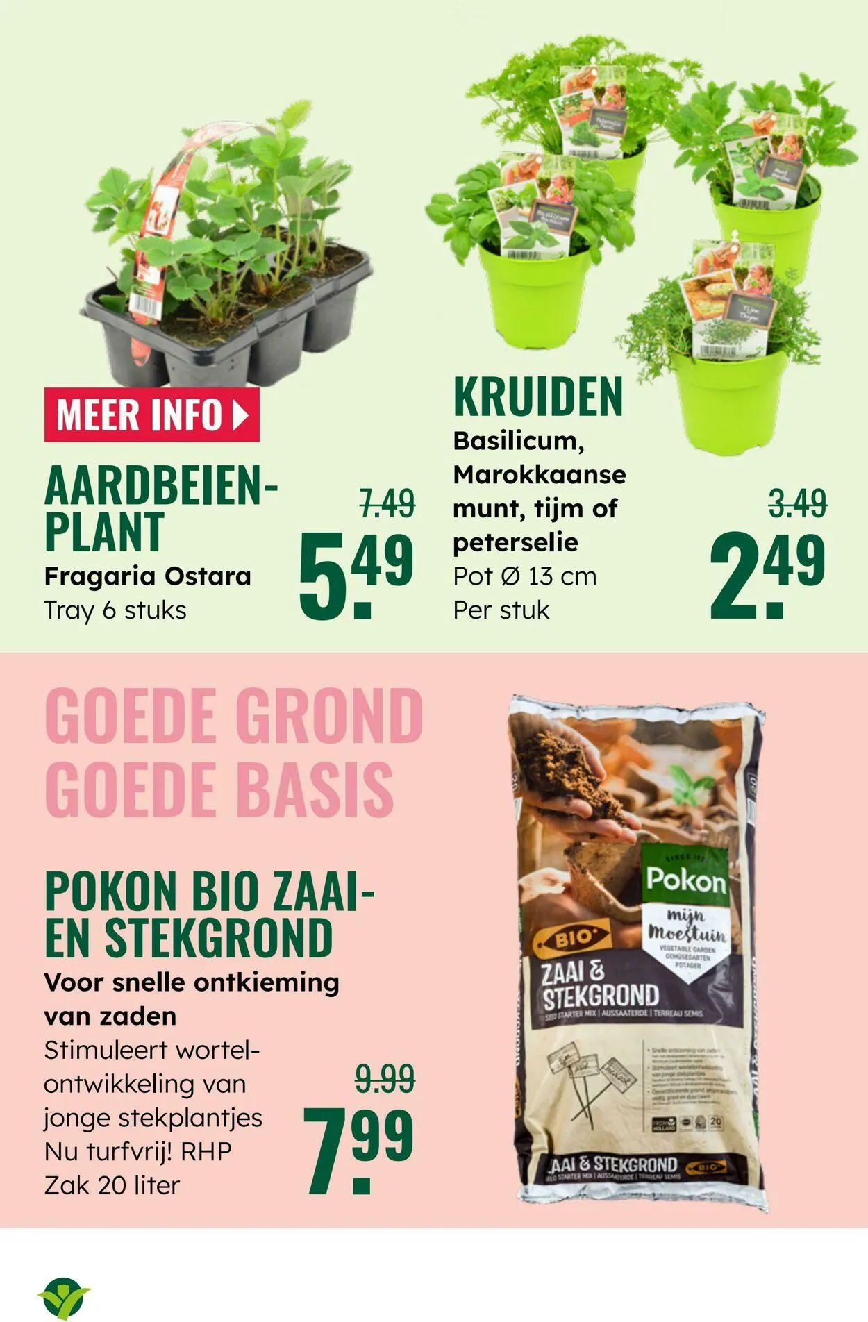 GroenRijk Actuele folder van 8 juli tot 22 juli 2025 - Folder pagina 22