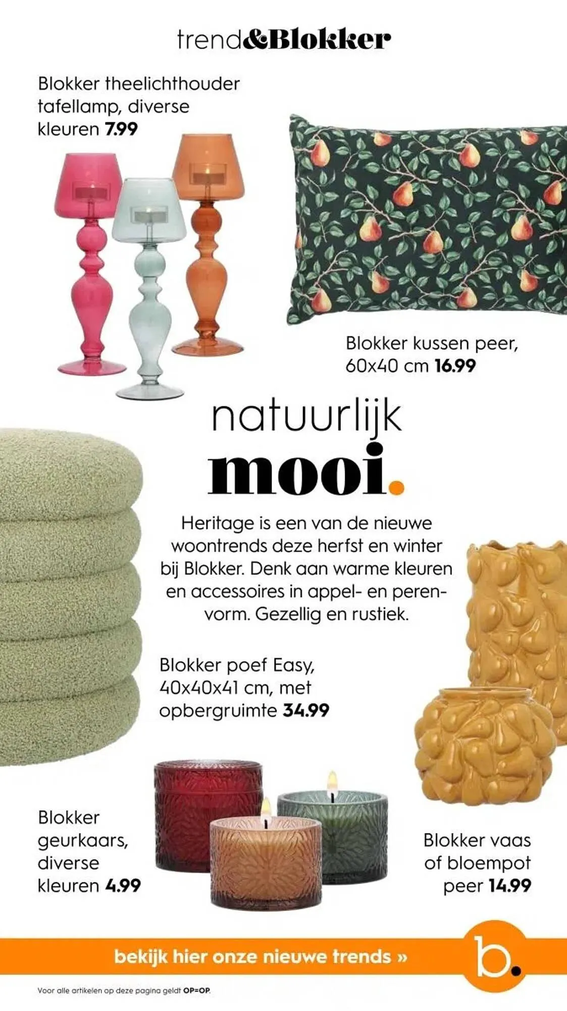 Blokker folder van 1 oktober tot 29 november 2024 - Folder pagina 15