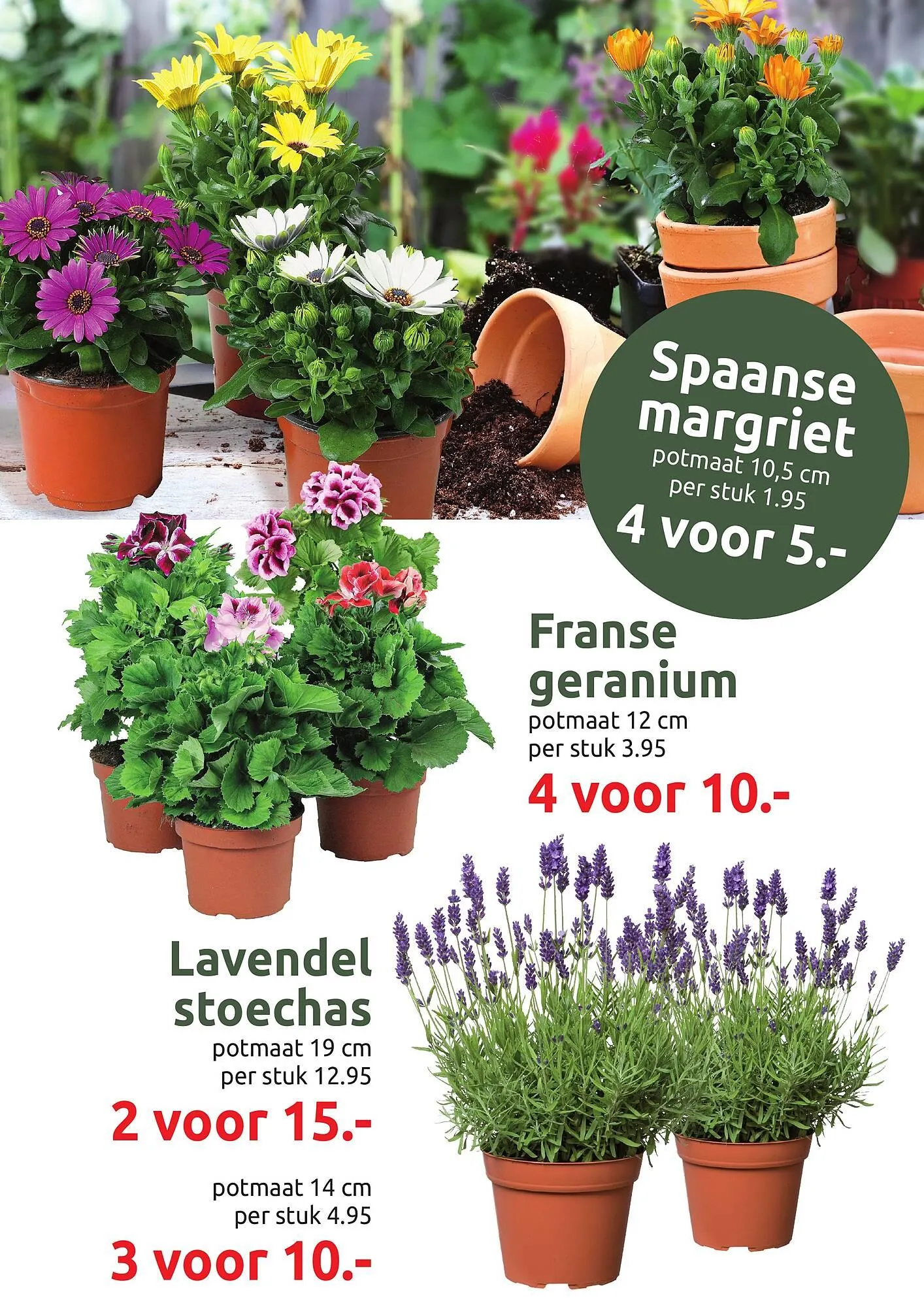 Deka Tuin folder van 30 maart tot 12 april 2026 - Folder pagina 4