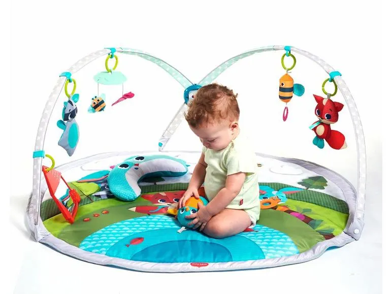 Tiny Love Dynamic Gymi–i