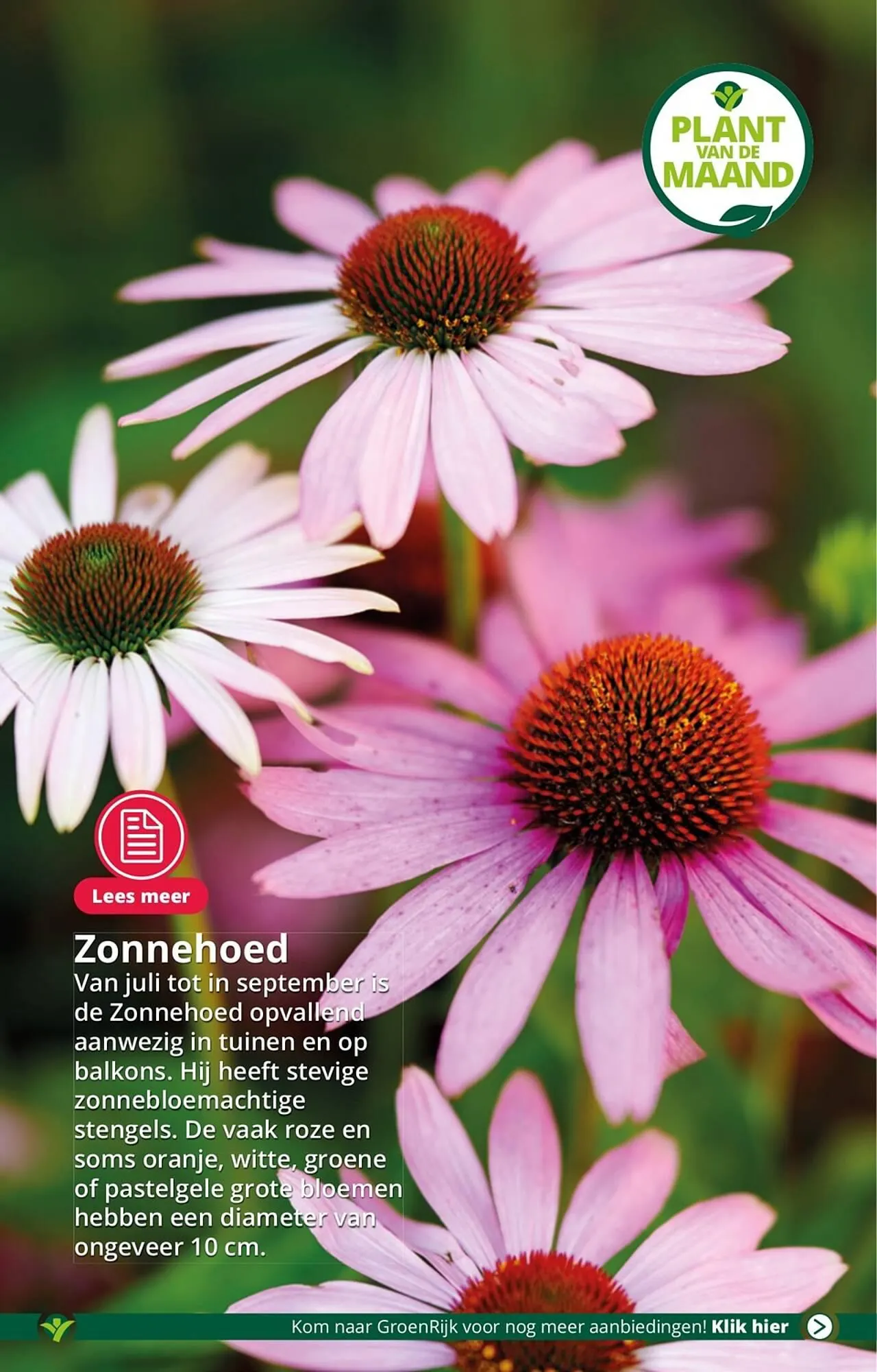 GroenRijk folder van 23 augustus tot 29 augustus 2023 - Folder pagina 3