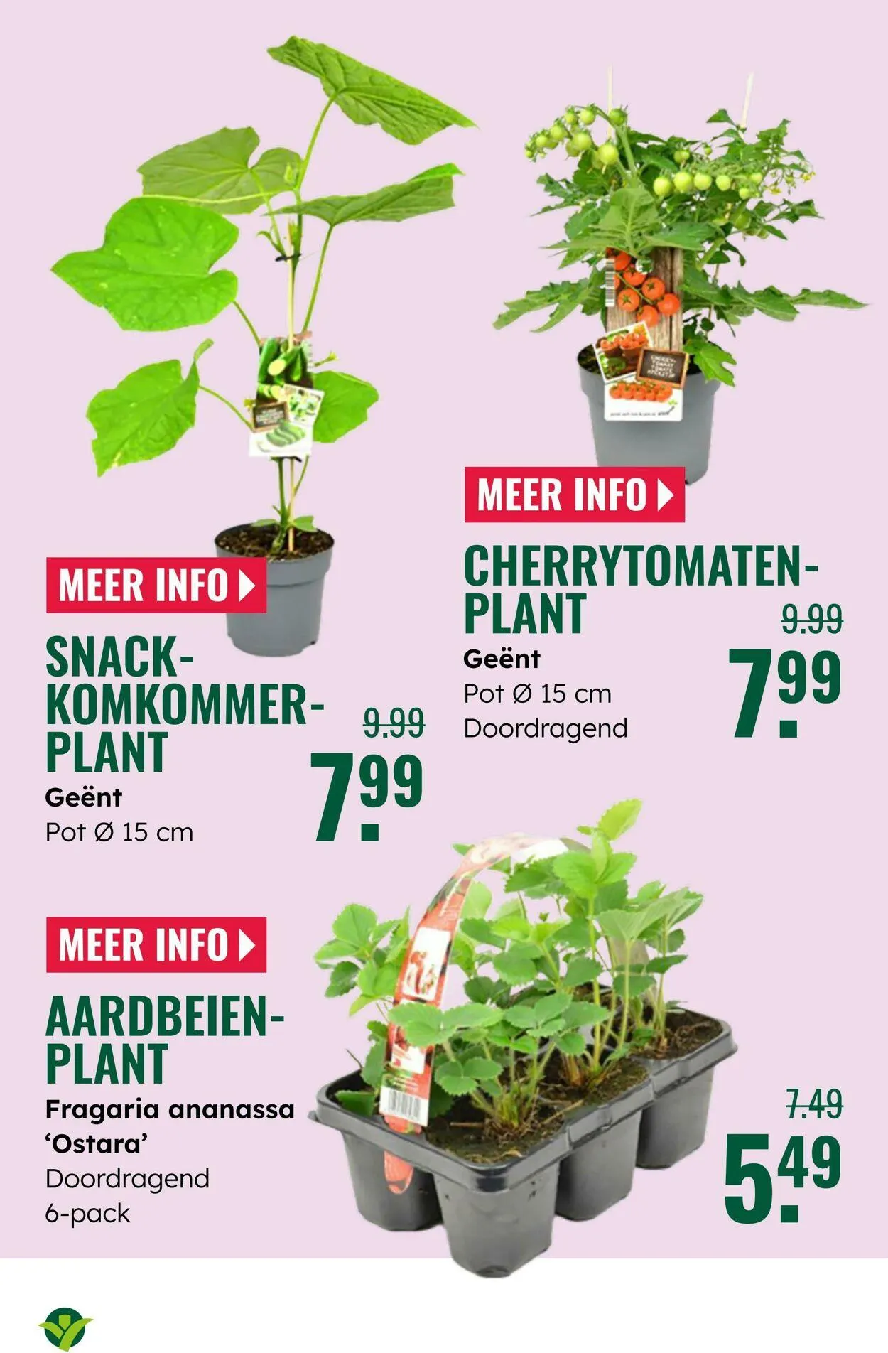 GroenRijk Actuele folder van 2 september tot 16 september 2025 - Folder pagina 15