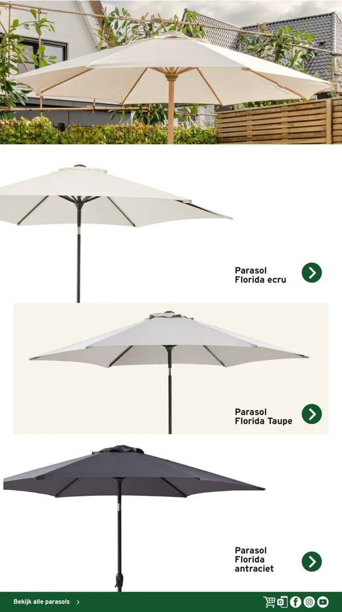 Gamma Decoratief Tuinmagazine 2024 van 4 maart tot 28 februari 2025 - Folder pagina 22