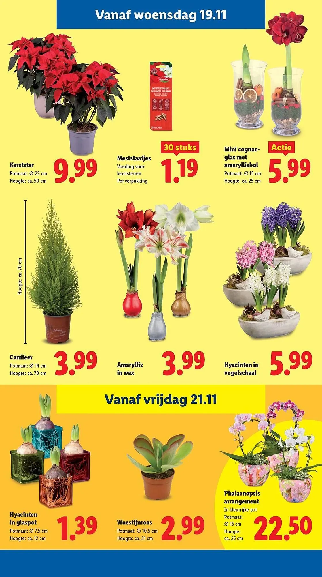 Lidl folder van 17 november tot 23 november 2025 - Folder pagina 17