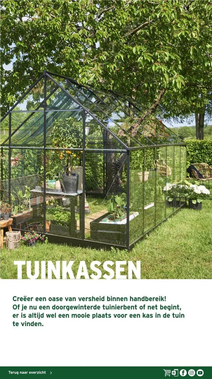 GAMMA Tuinmagazine week 21 2024 van 21 mei tot 31 december 2024 - Folder pagina 38