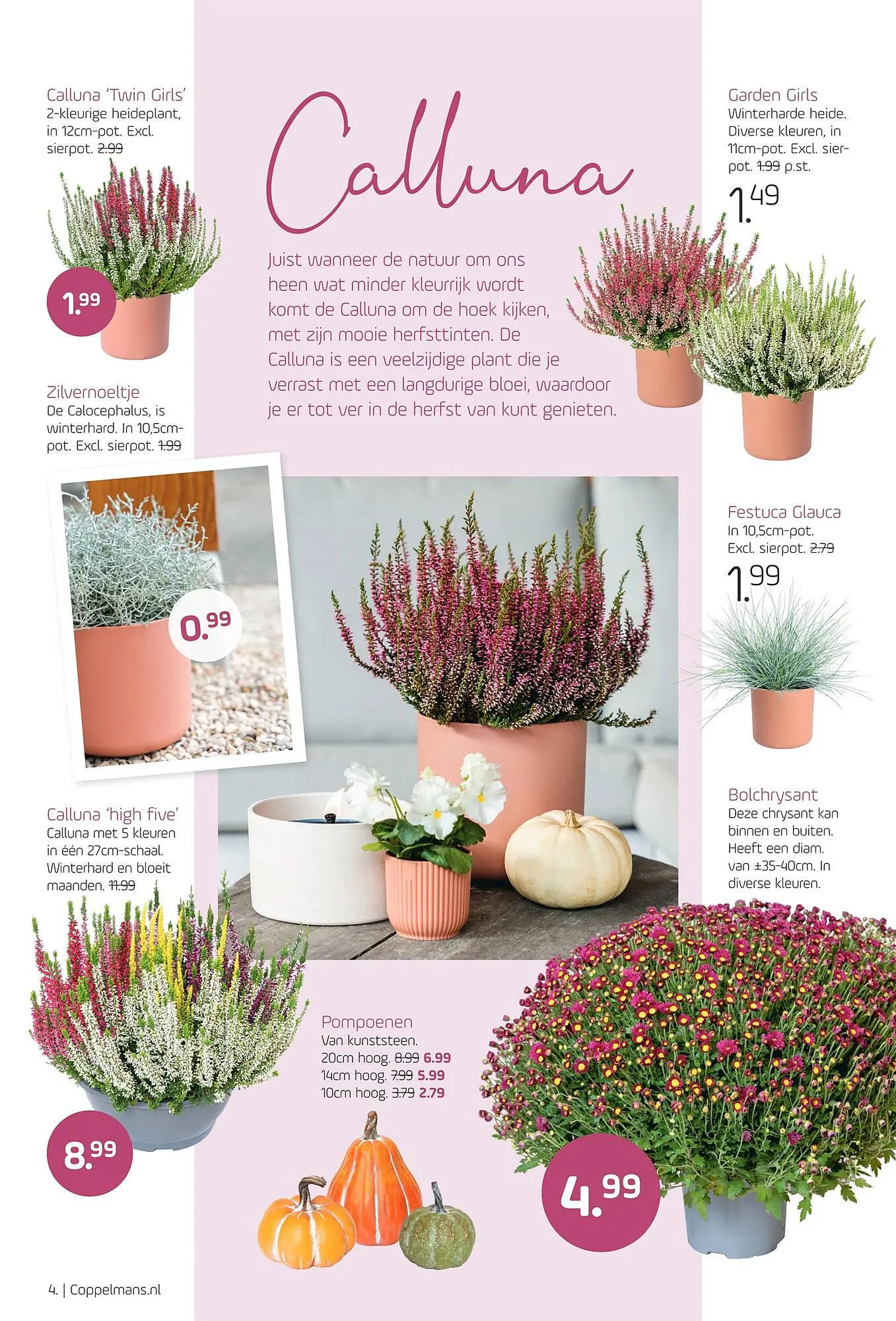 Coppelmans folder van 18 oktober tot 29 oktober 2023 - Folder pagina 4