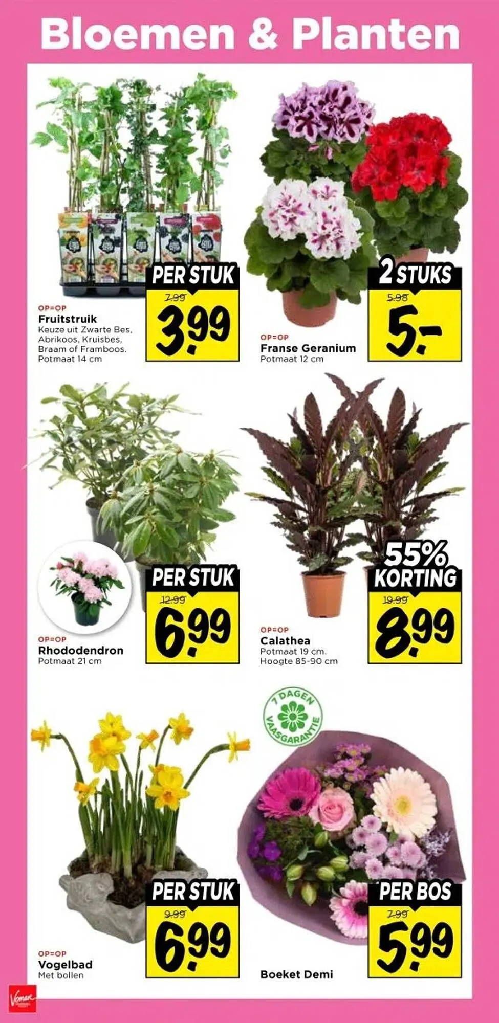 Vomar Voordeelmarkt folder van 5 maart tot 7 maart 2026 - Folder pagina 38