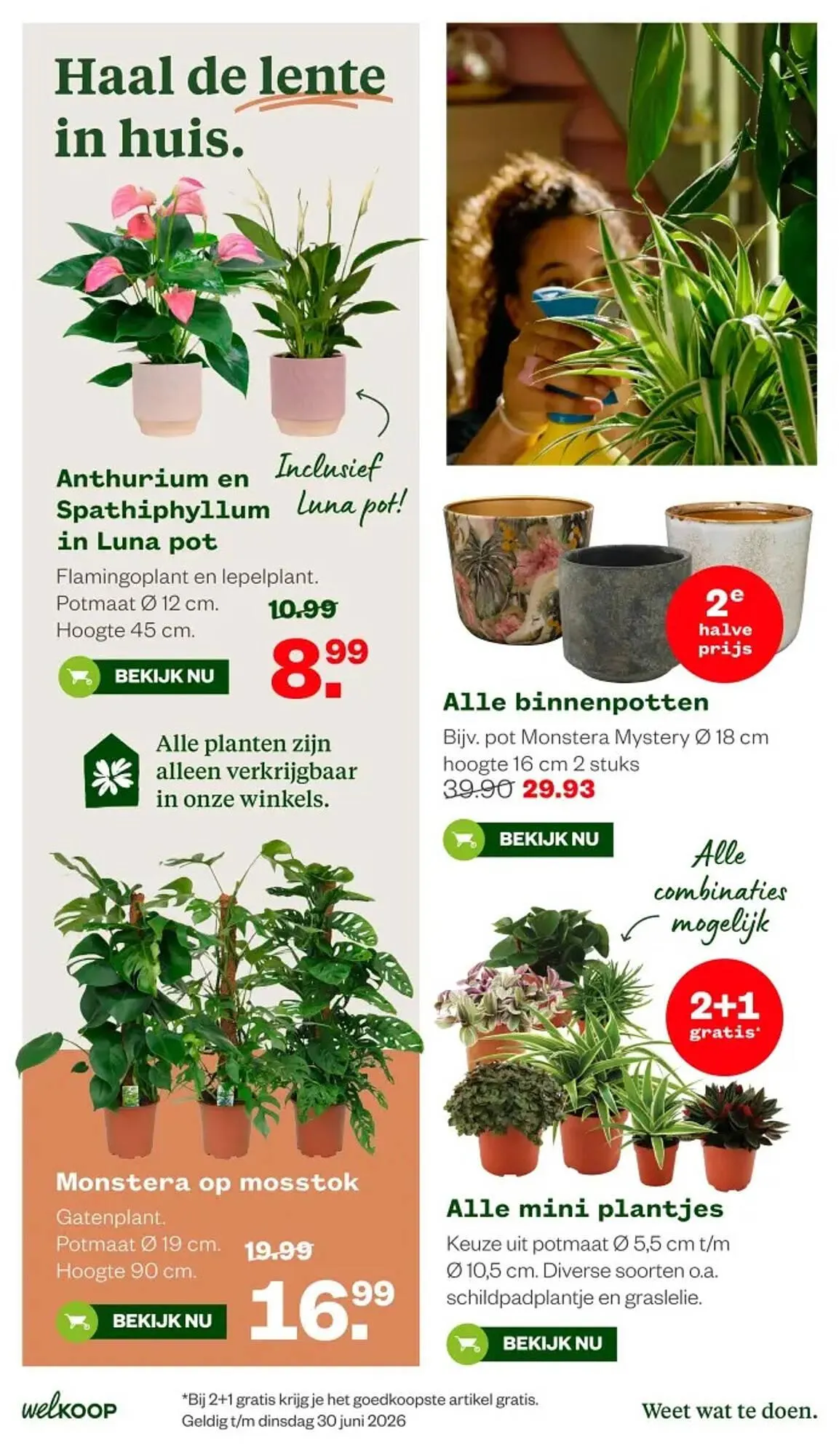 Welkoop folder van 2 maart tot 15 maart 2026 - Folder pagina 6