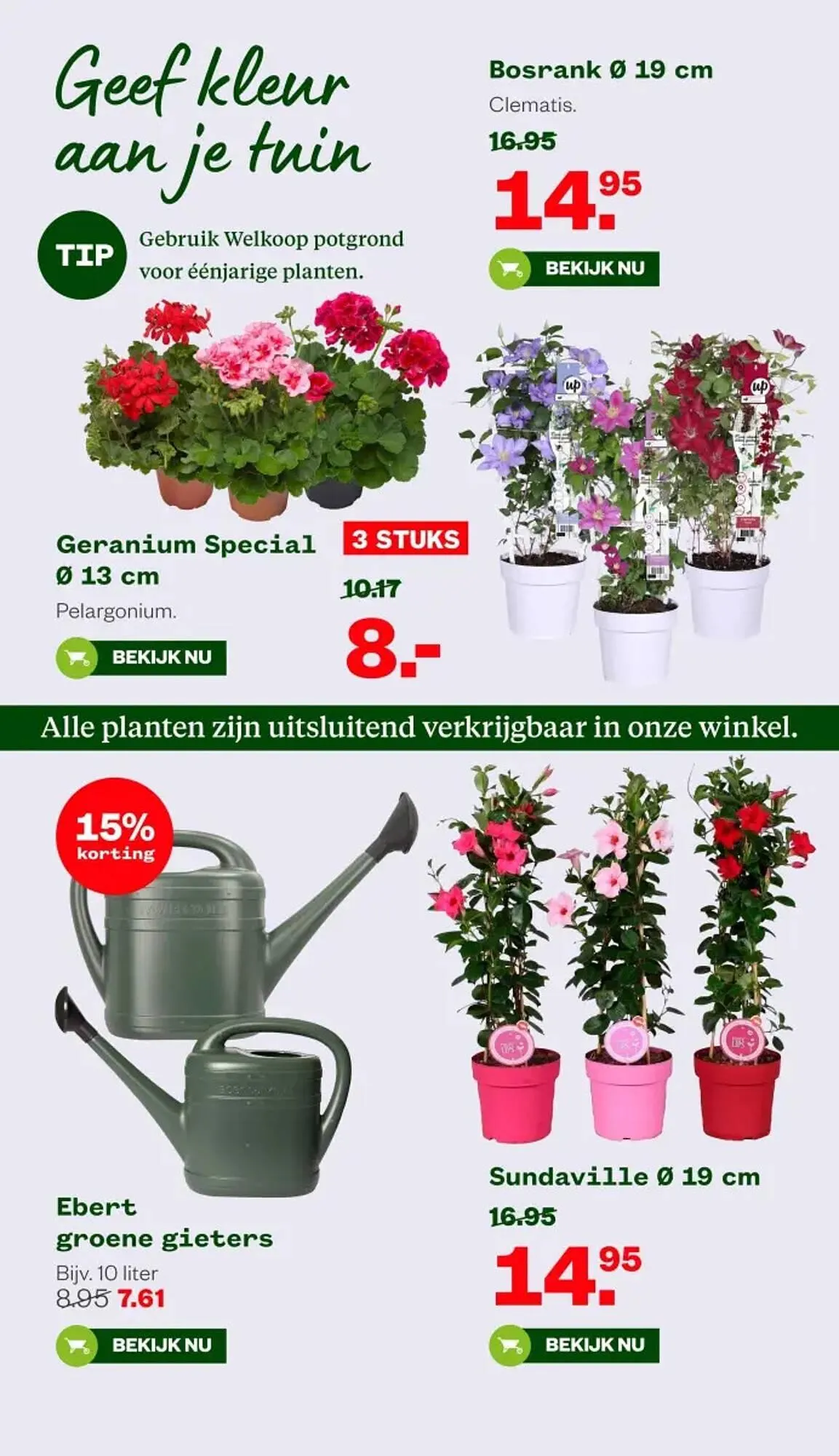 Welkoop folder van 12 mei tot 25 mei 2025 - Folder pagina 6