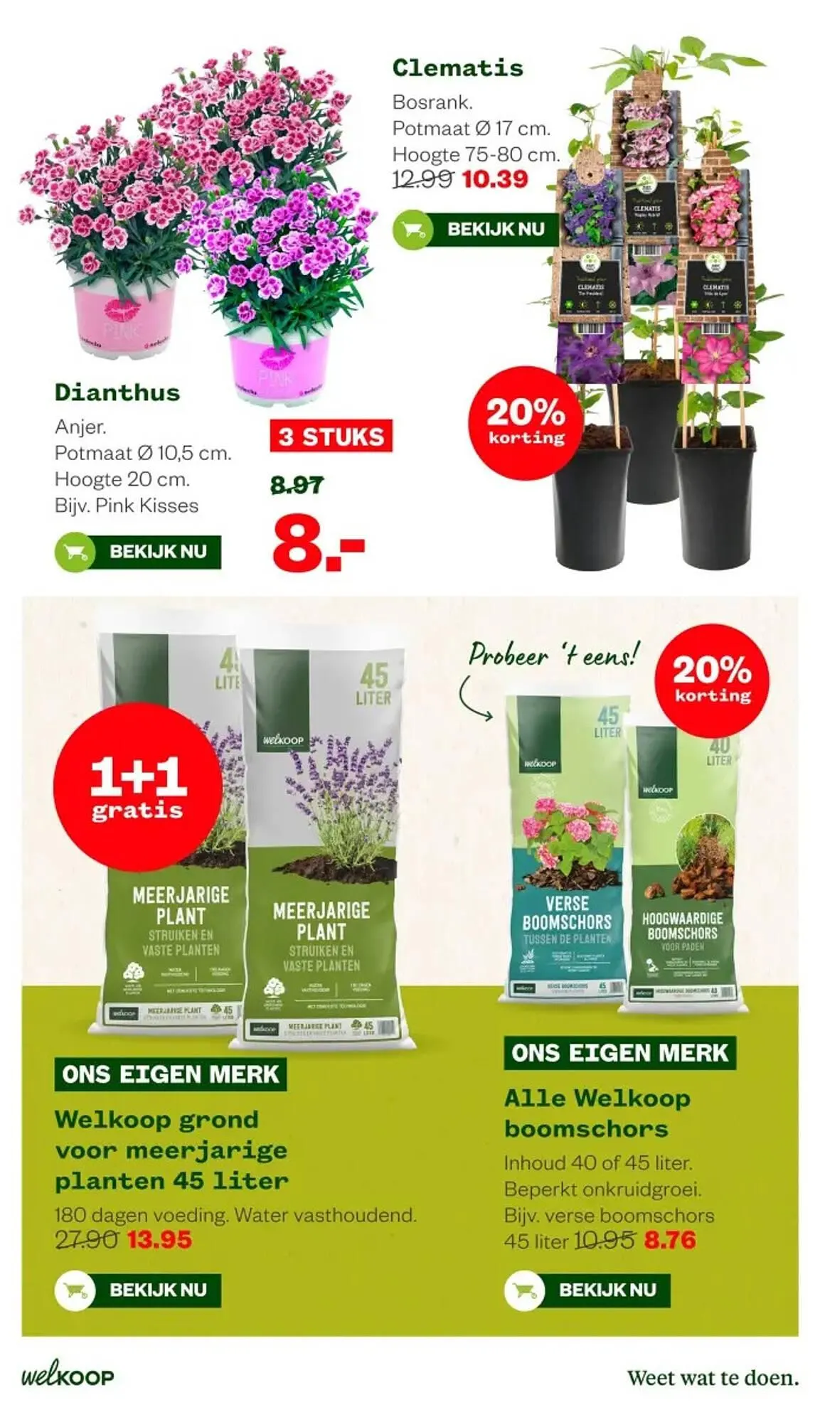 Welkoop folder van 16 maart tot 29 maart 2026 - Folder pagina 11