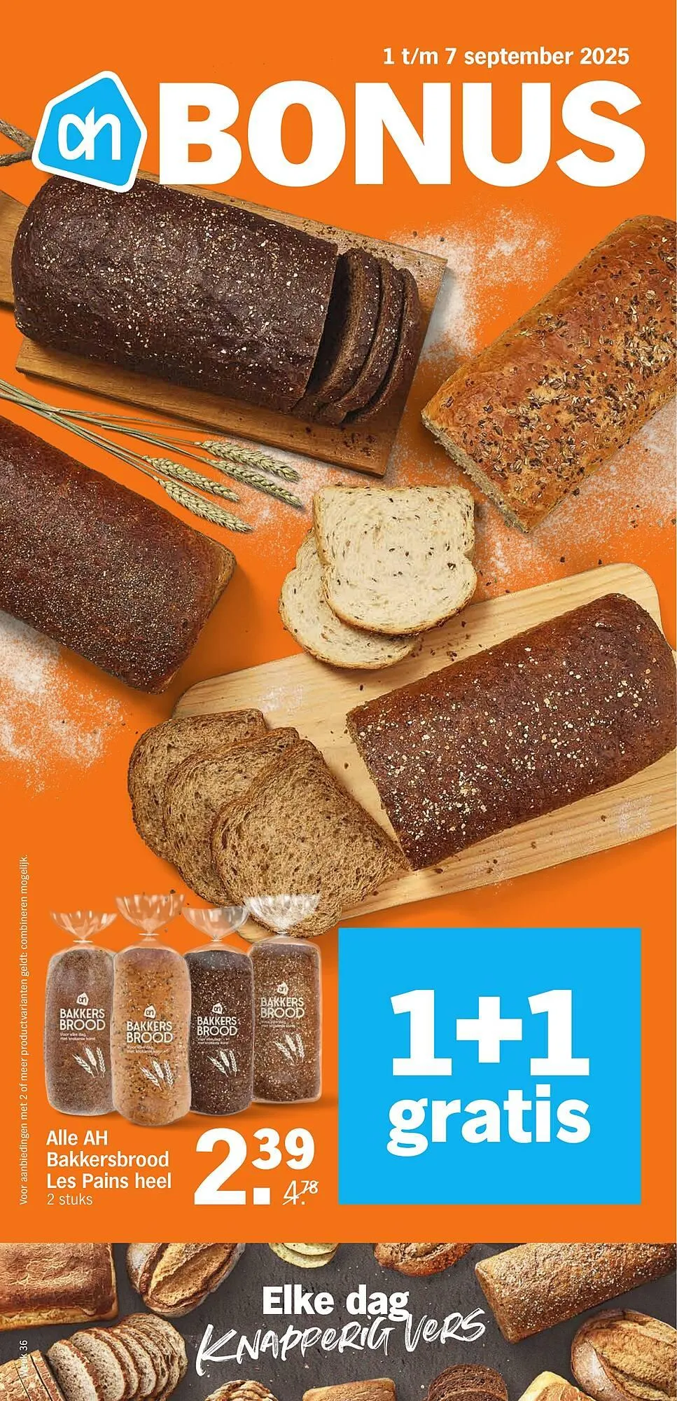 Albert Heijn folder - 1