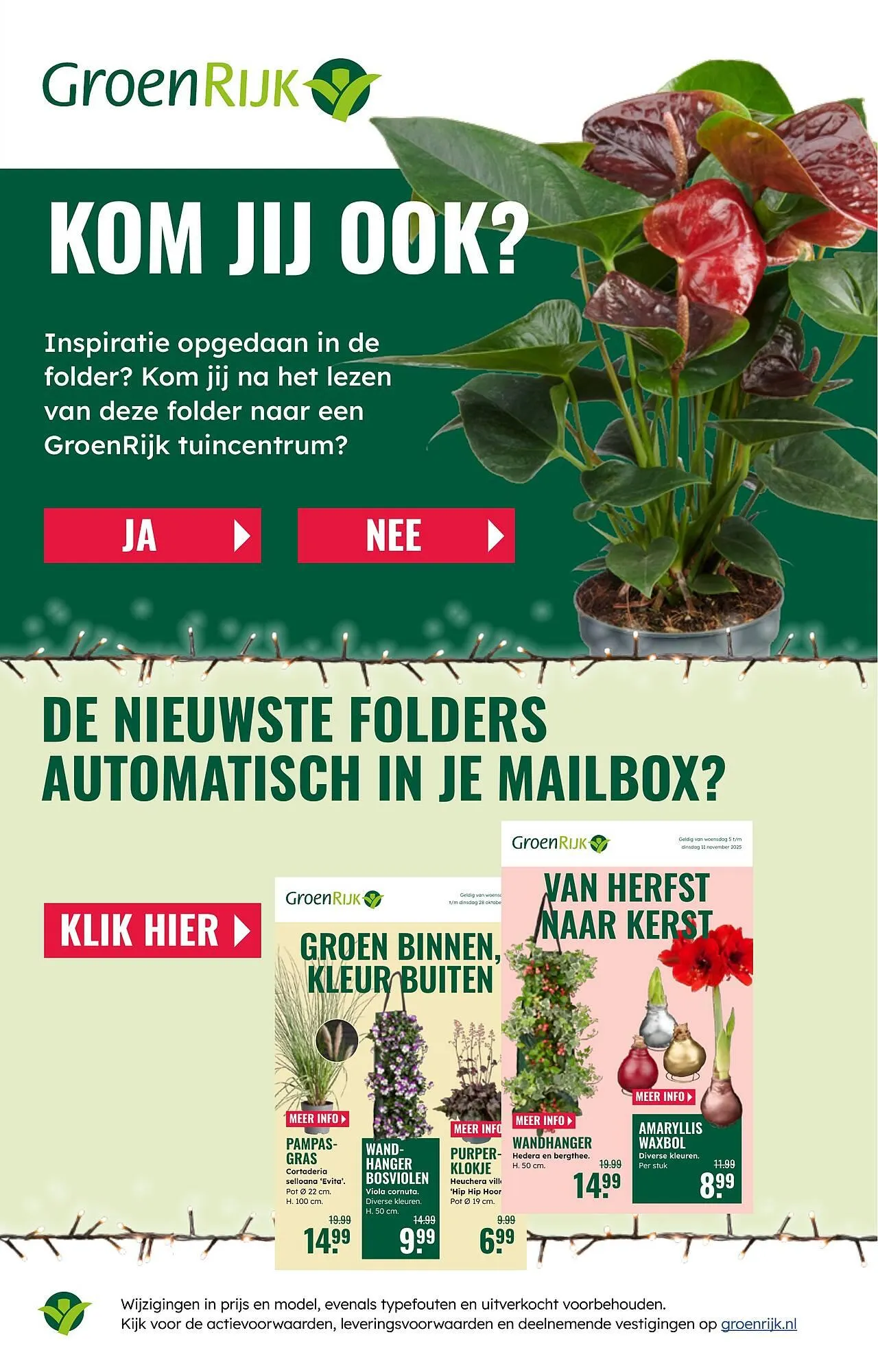 GroenRijk folder van 19 november tot 25 november 2025 - Folder pagina 17