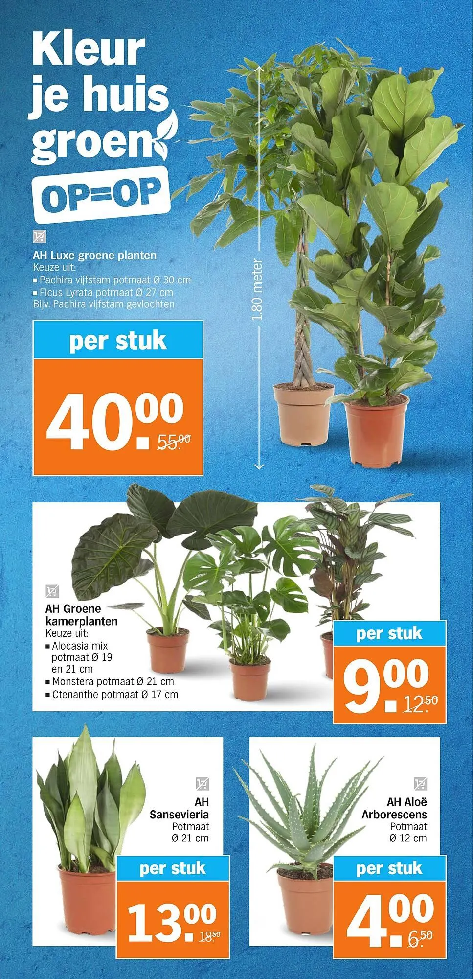 Albert Heijn folder van 6 januari tot 12 januari 2025 - Folder pagina 35