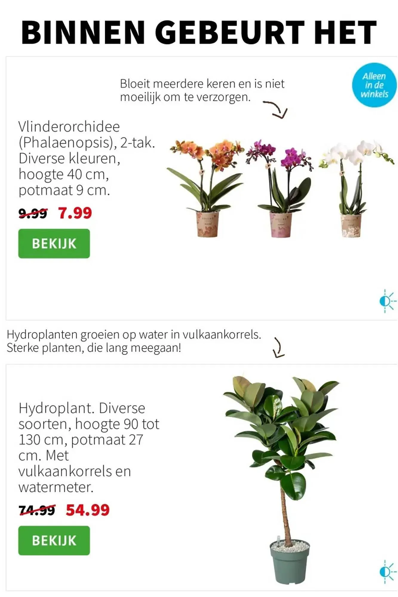 Intratuin folder van 1 september tot 7 september 2025 - Folder pagina 3