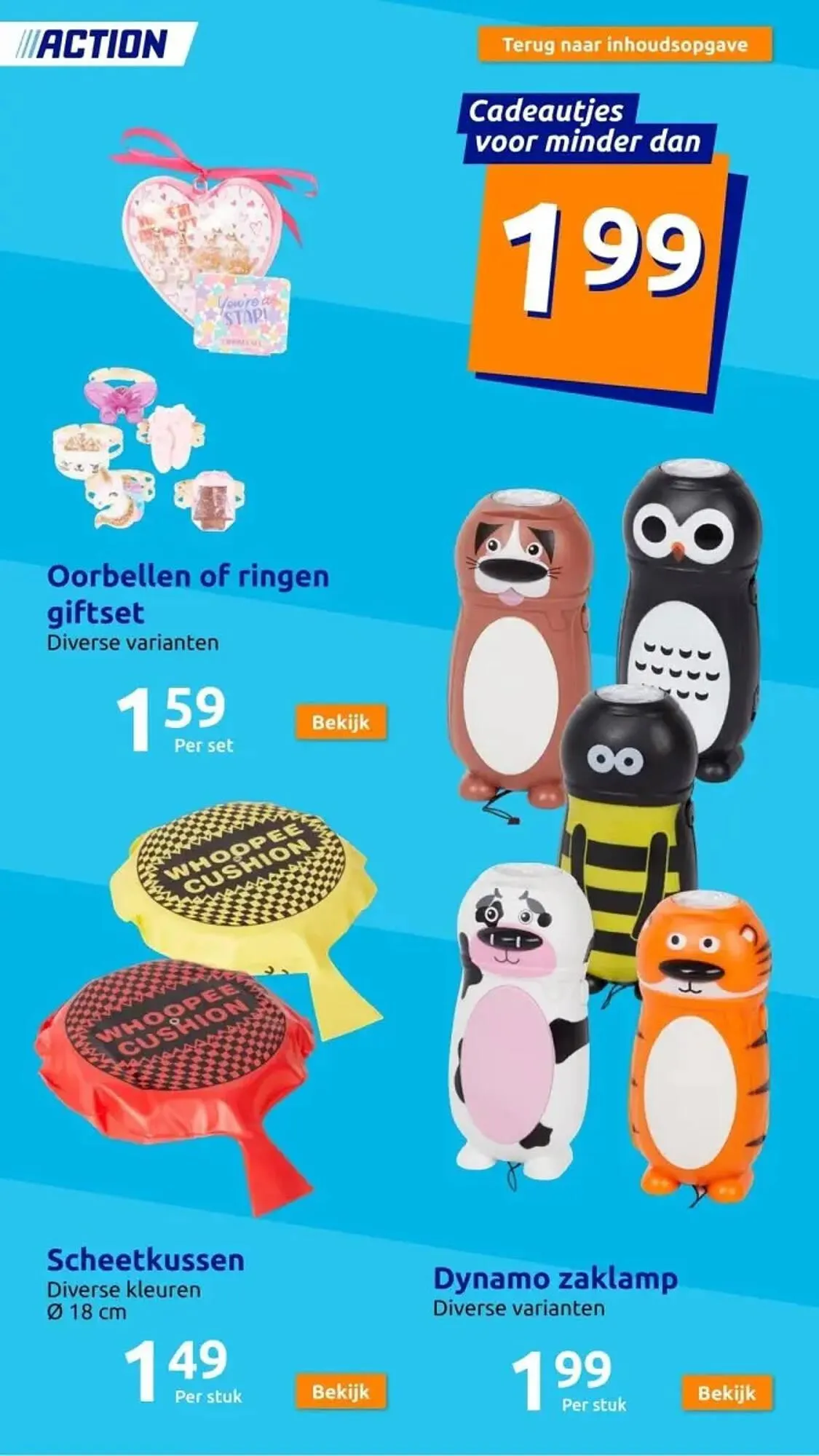 Action folder van 29 november tot 5 december 2023 - Folder pagina 13