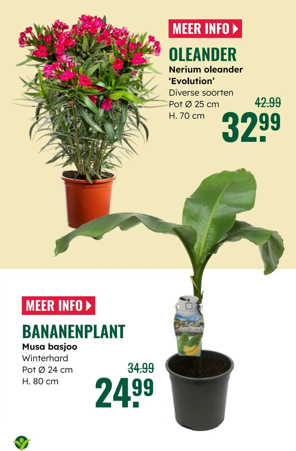 GroenRijk Actuele folder van 16 september tot 30 september 2025 - Folder pagina 17