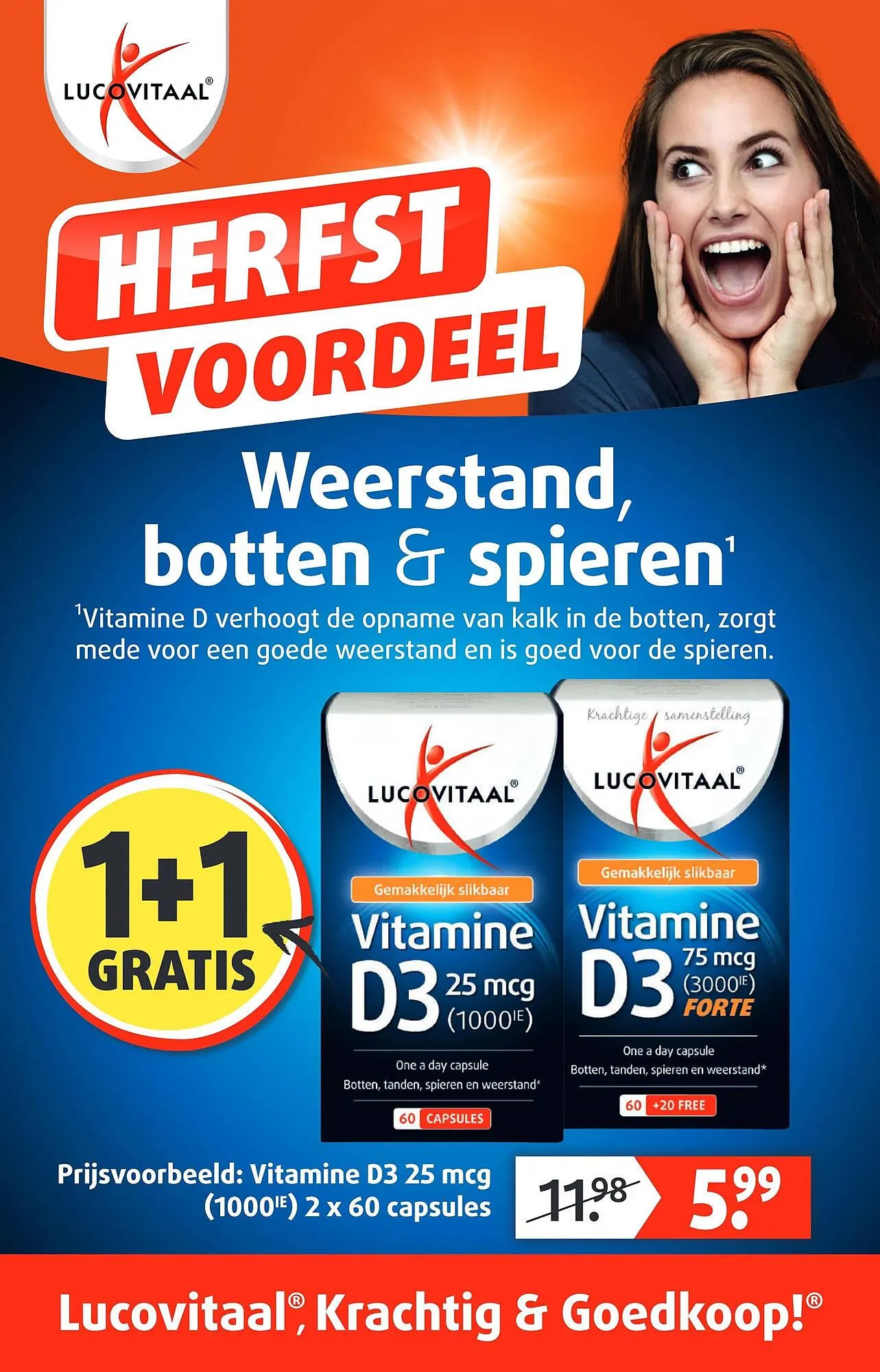 Lucovitaal folder - 1