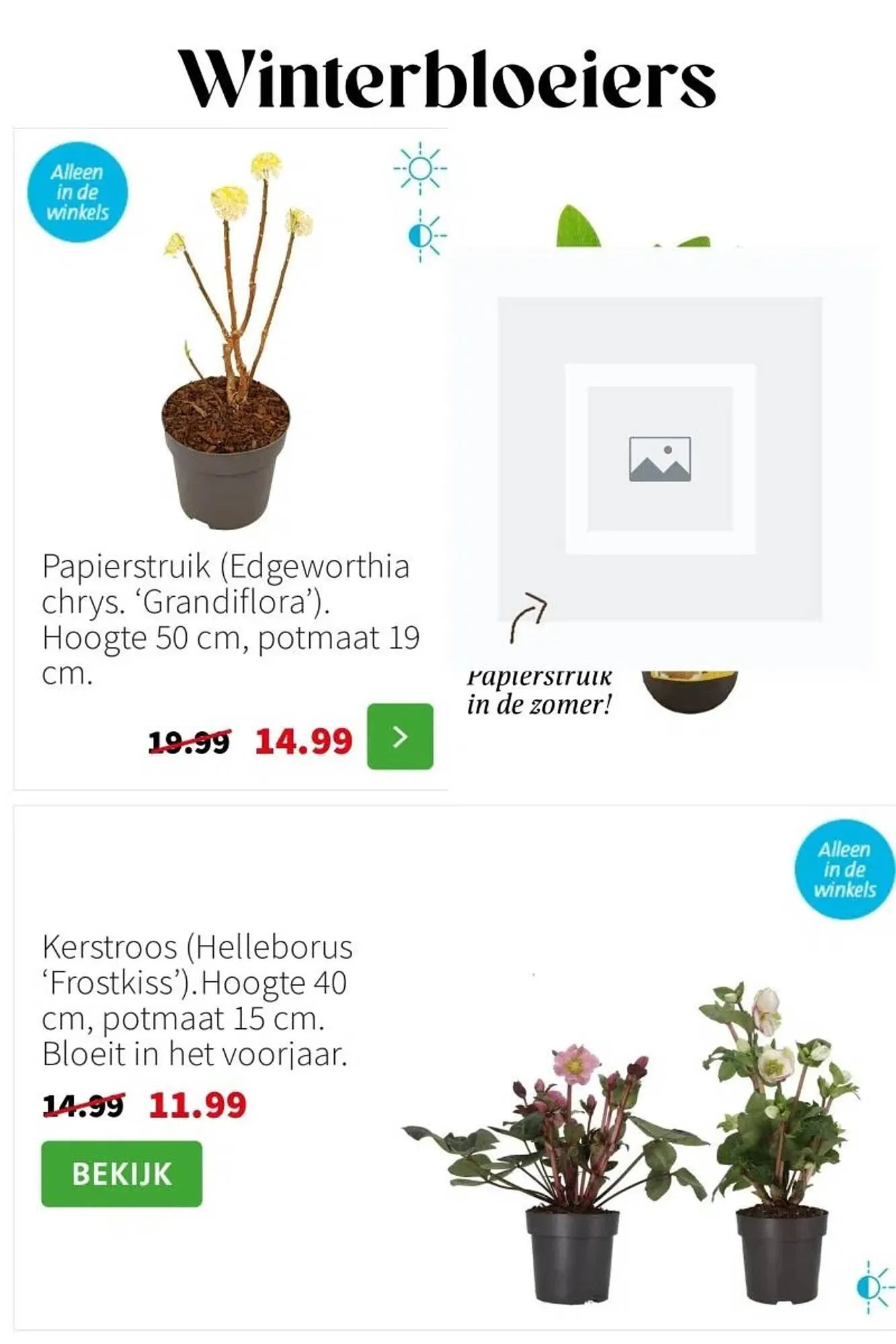 Intratuin folder van 2 februari tot 8 februari 2026 - Folder pagina 5