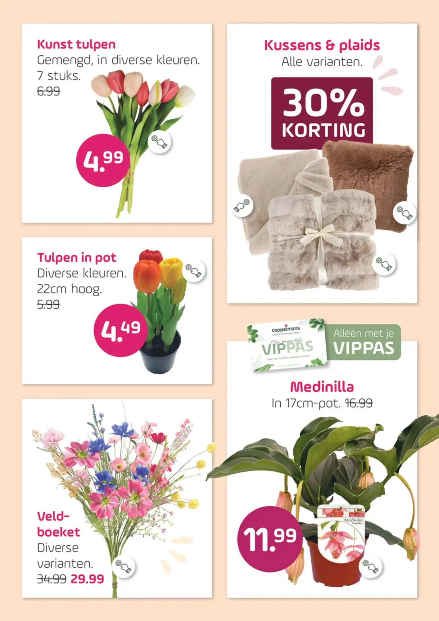 Coppelmans folder van 11 februari tot 22 februari 2026 - Folder pagina 5