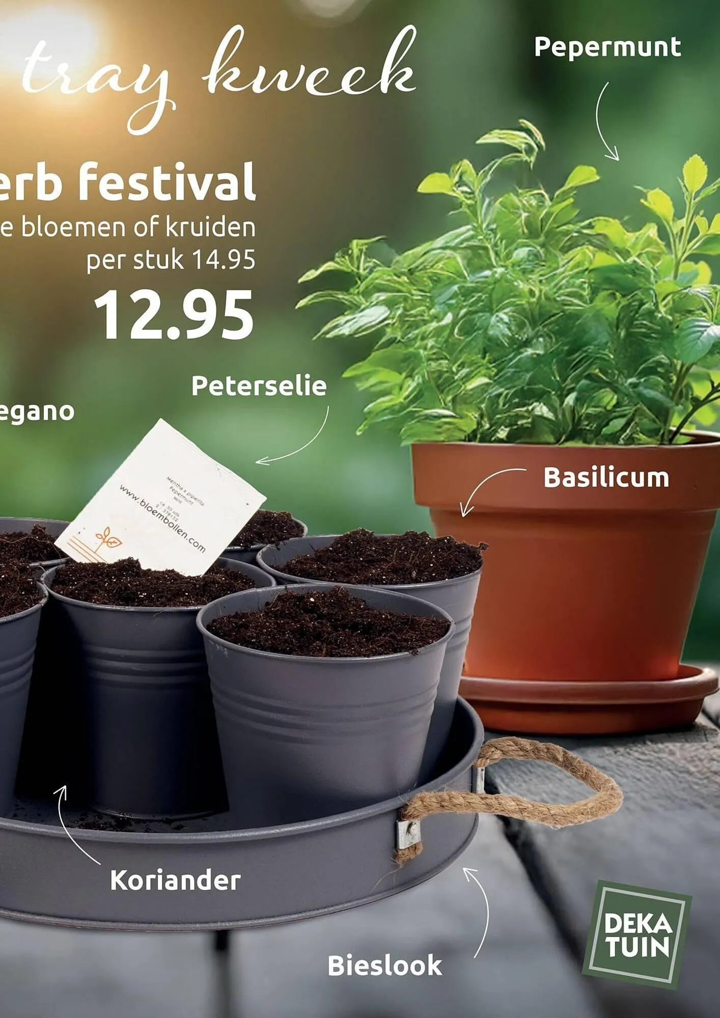 Deka Tuin folder van 17 maart tot 30 maart 2025 - Folder pagina 7