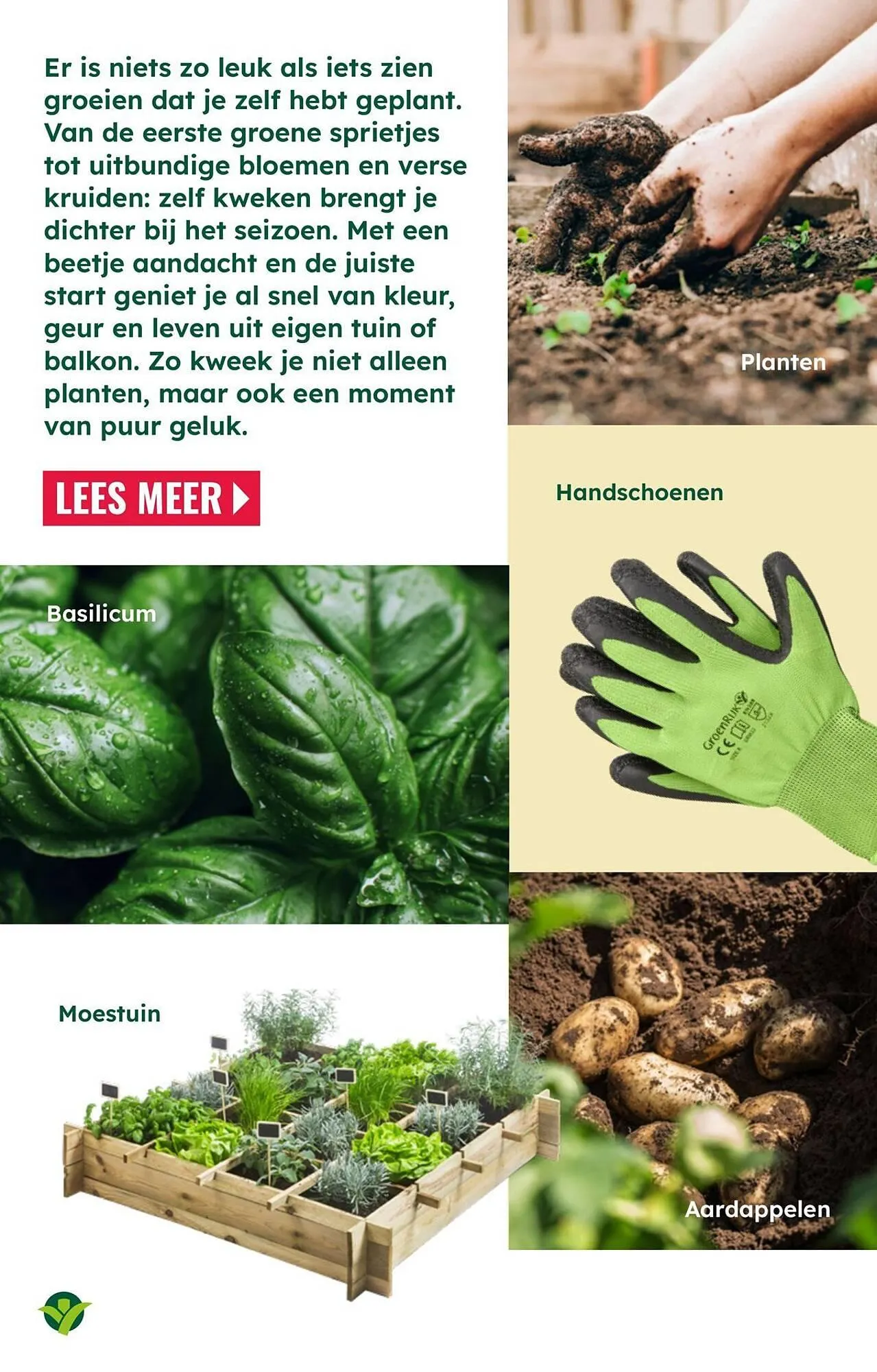 GroenRijk folder van 18 maart tot 1 april 2026 - Folder pagina 9