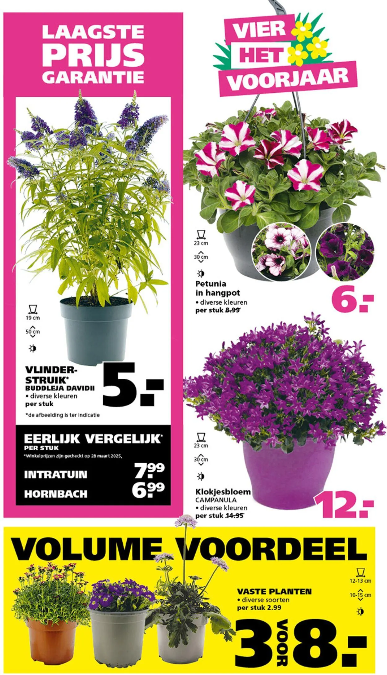 Ranzijn Actuele folder van 6 april tot 19 april 2025 - Folder pagina 2