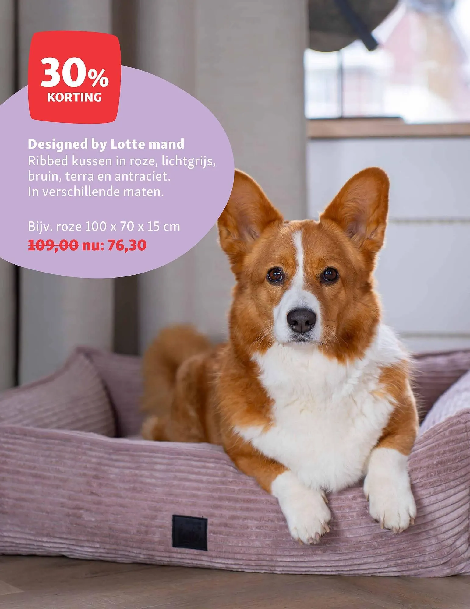 Maxi Zoo folder van 5 mei tot 11 mei 2025 - Folder pagina 12