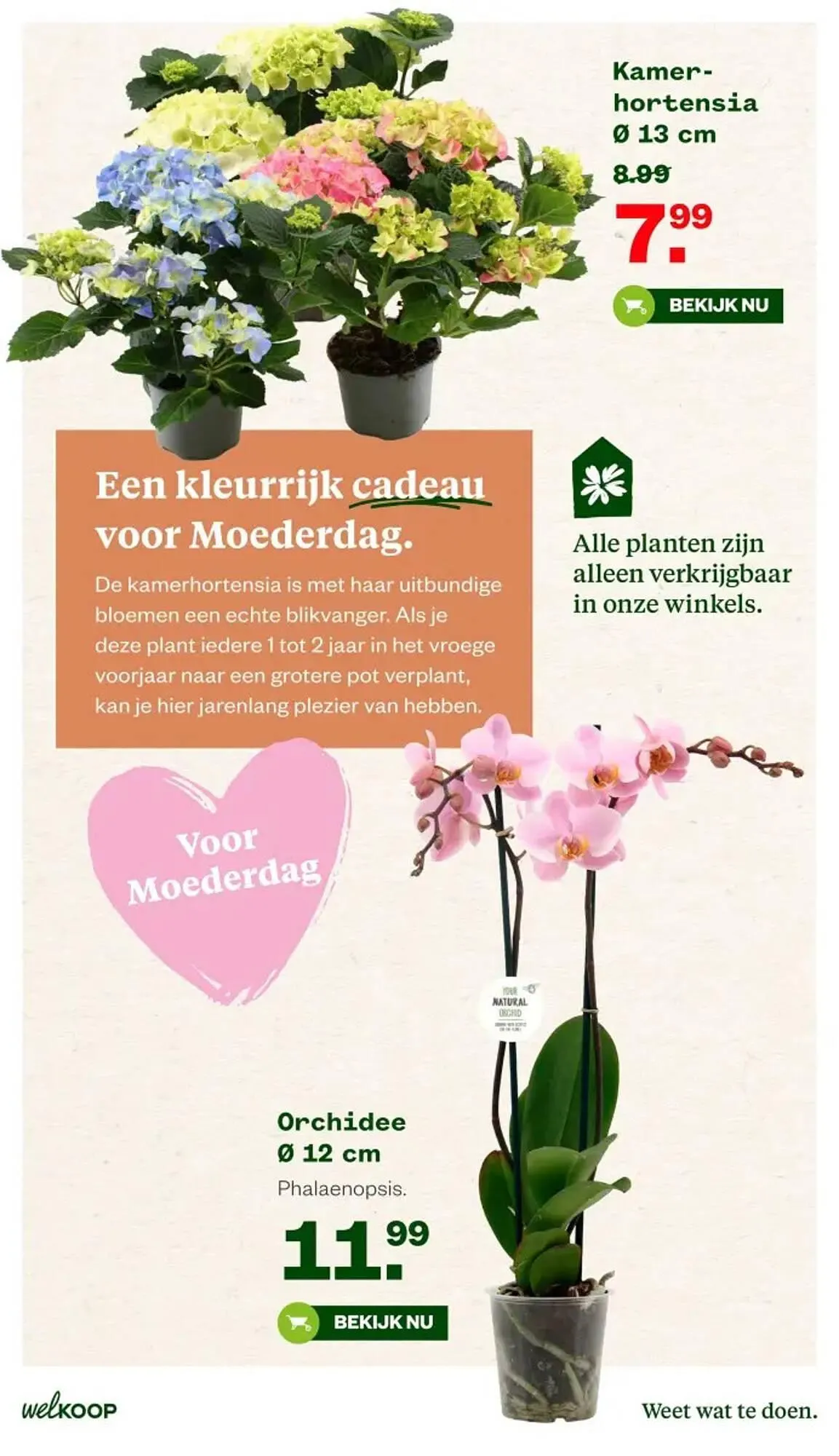 Welkoop folder van 27 april tot 3 mei 2026 - Folder pagina 6