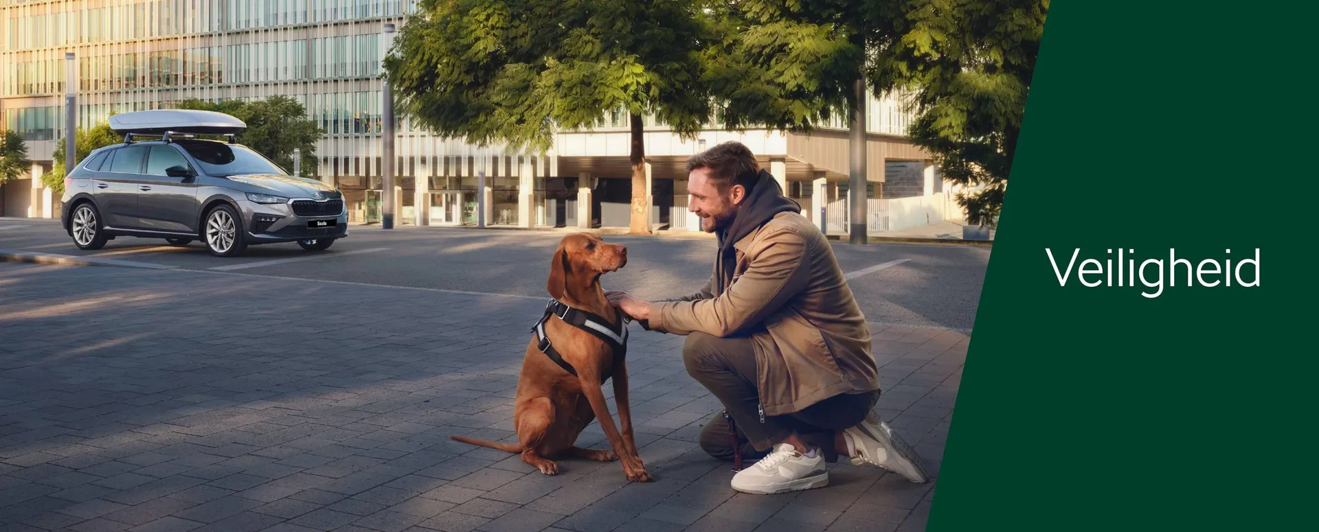 Skoda folder van 18 september tot 18 september 2025 - Folder pagina 29