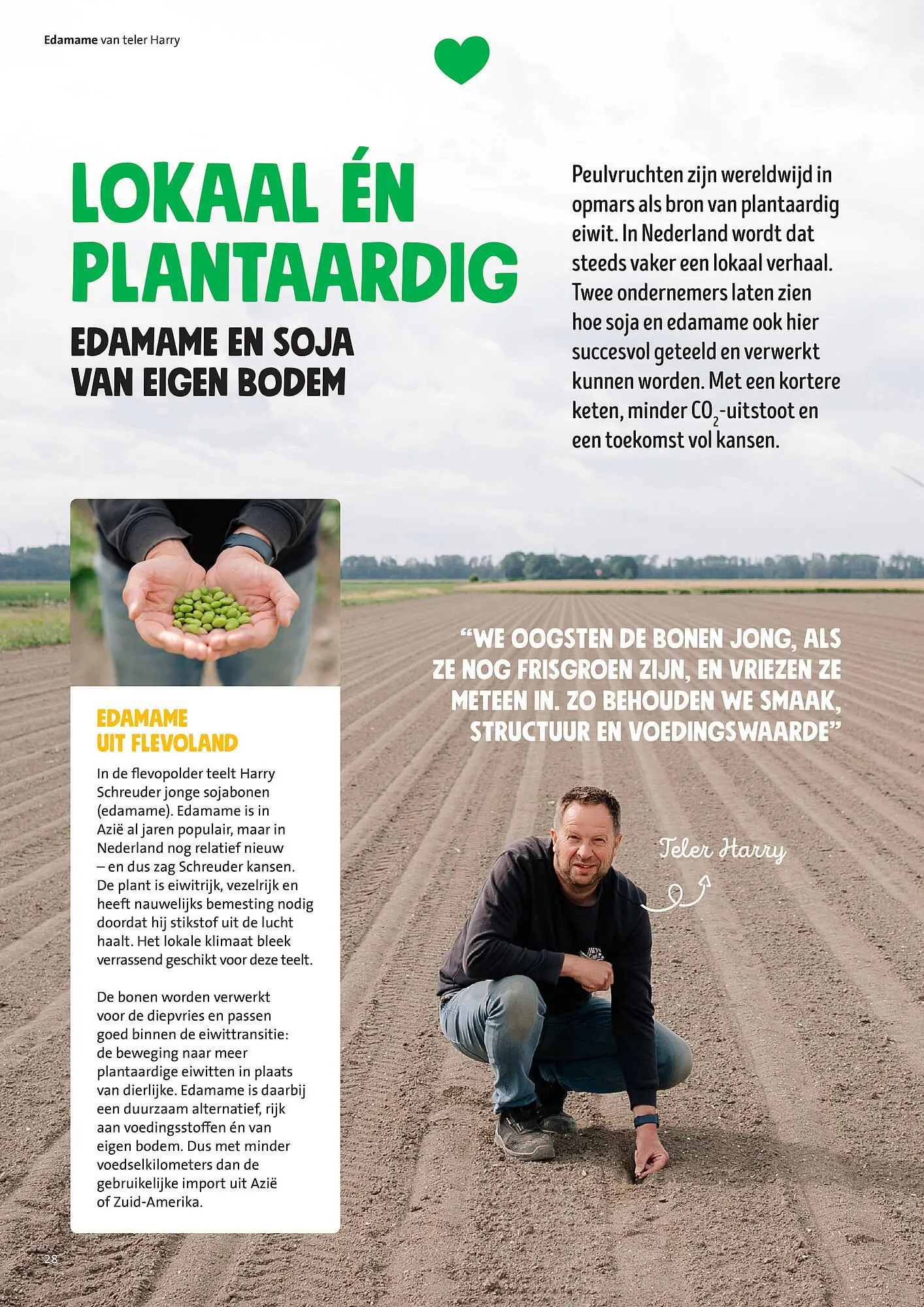 Jumbo folder van 30 juni tot 7 juli 2025 - Folder pagina 28