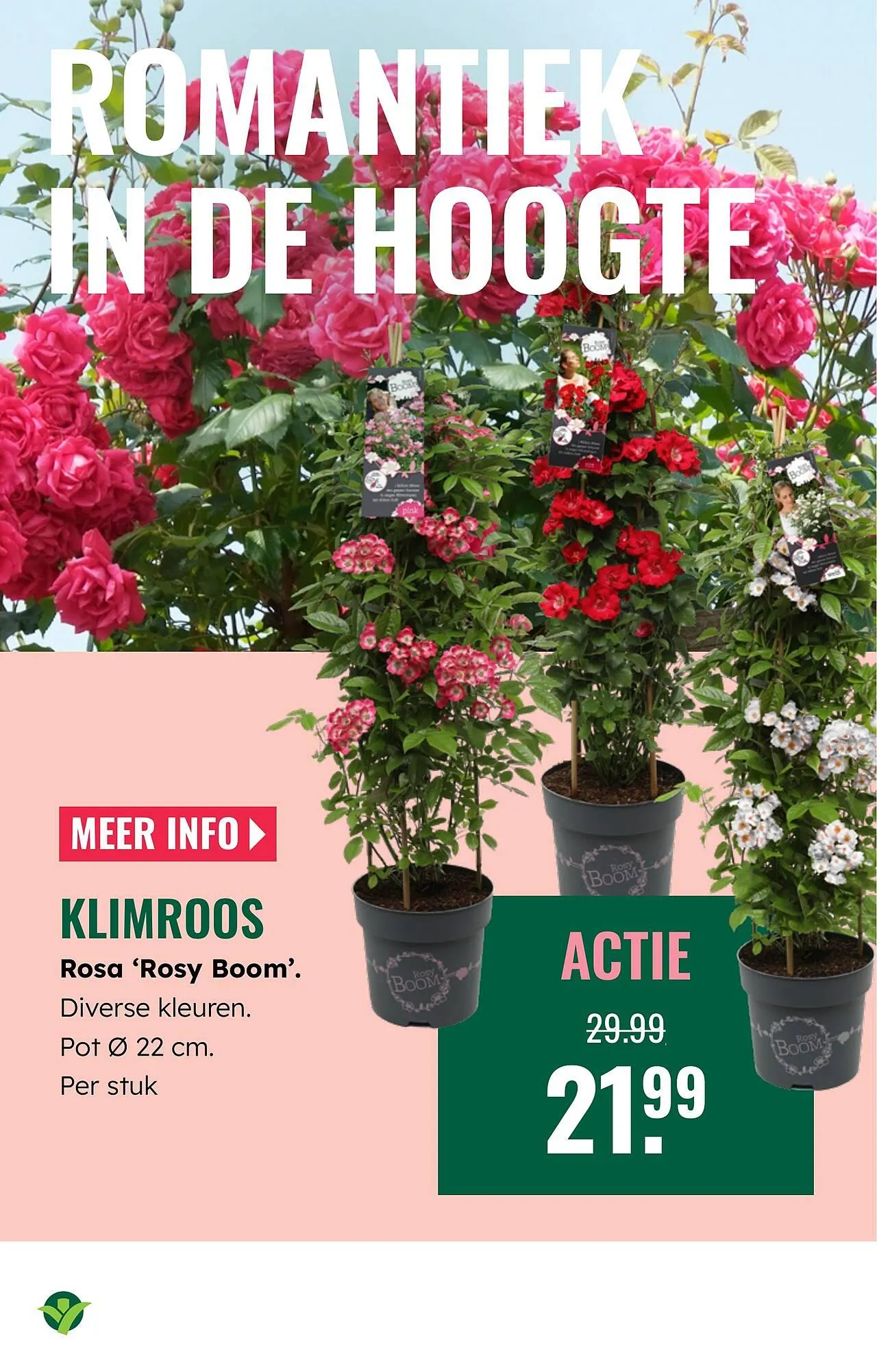 GroenRijk folder van 2 april tot 8 april 2026 - Folder pagina 19