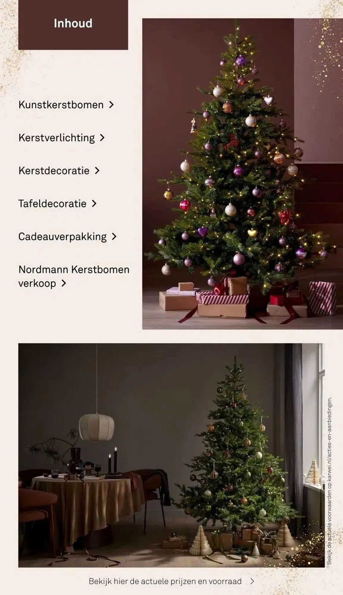 Karwei folder van 13 oktober tot 31 december 2025 - Folder pagina 3