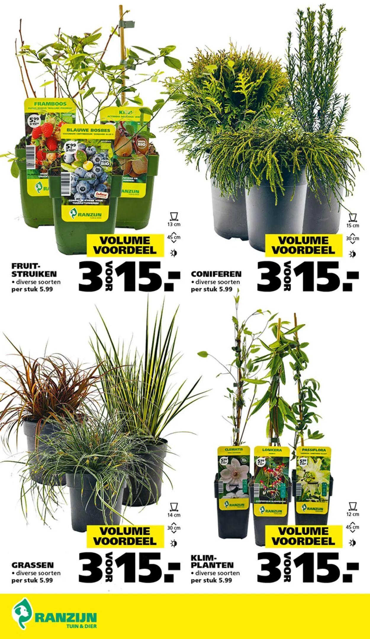 Ranzijn Actuele folder van 6 april tot 19 april 2025 - Folder pagina 4