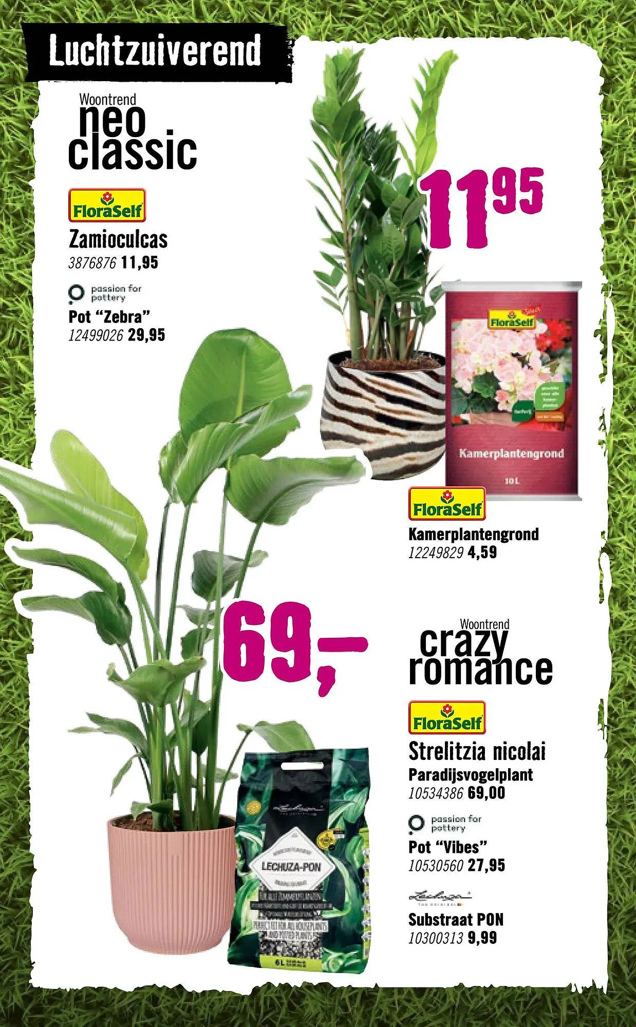Hornbach folder van 29 september tot 26 oktober 2025 - Folder pagina 81