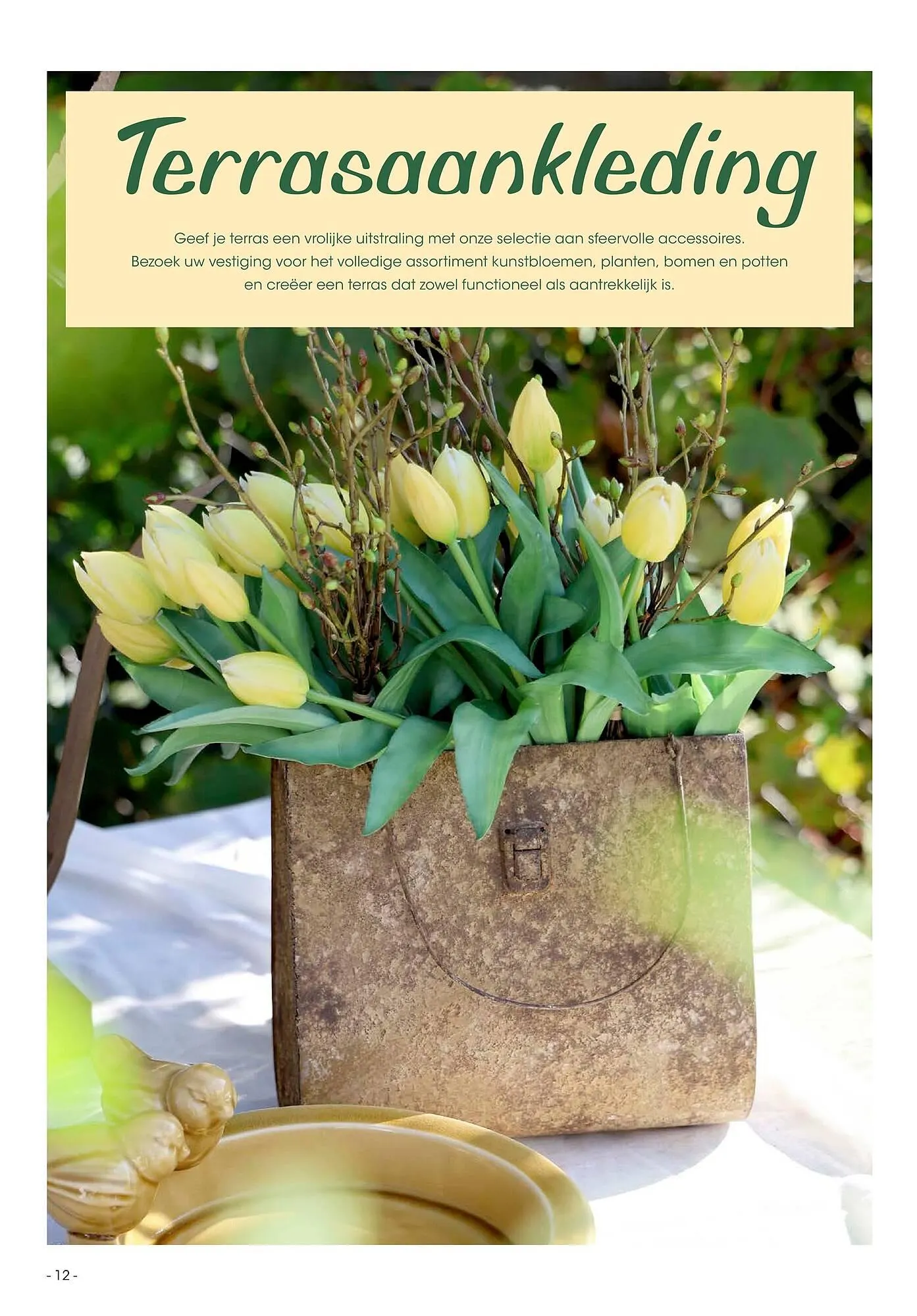 HANOS folder van 23 maart tot 31 augustus 2026 - Folder pagina 12