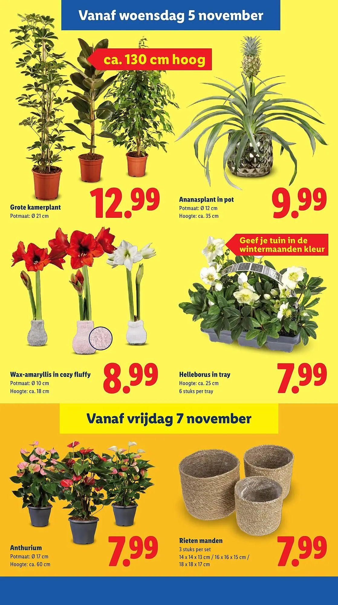 Lidl folder van 3 november tot 9 november 2025 - Folder pagina 21