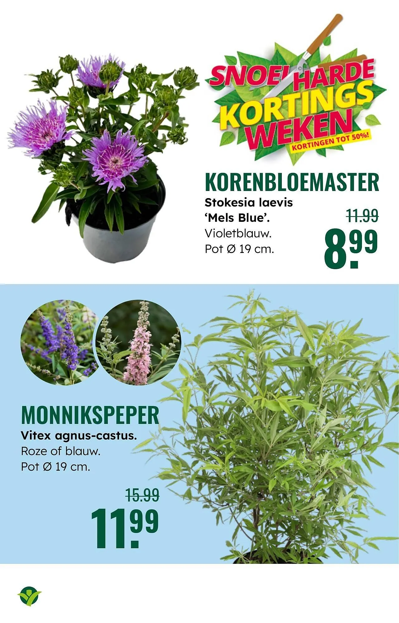 GroenRijk folder van 30 juli tot 12 augustus 2025 - Folder pagina 8