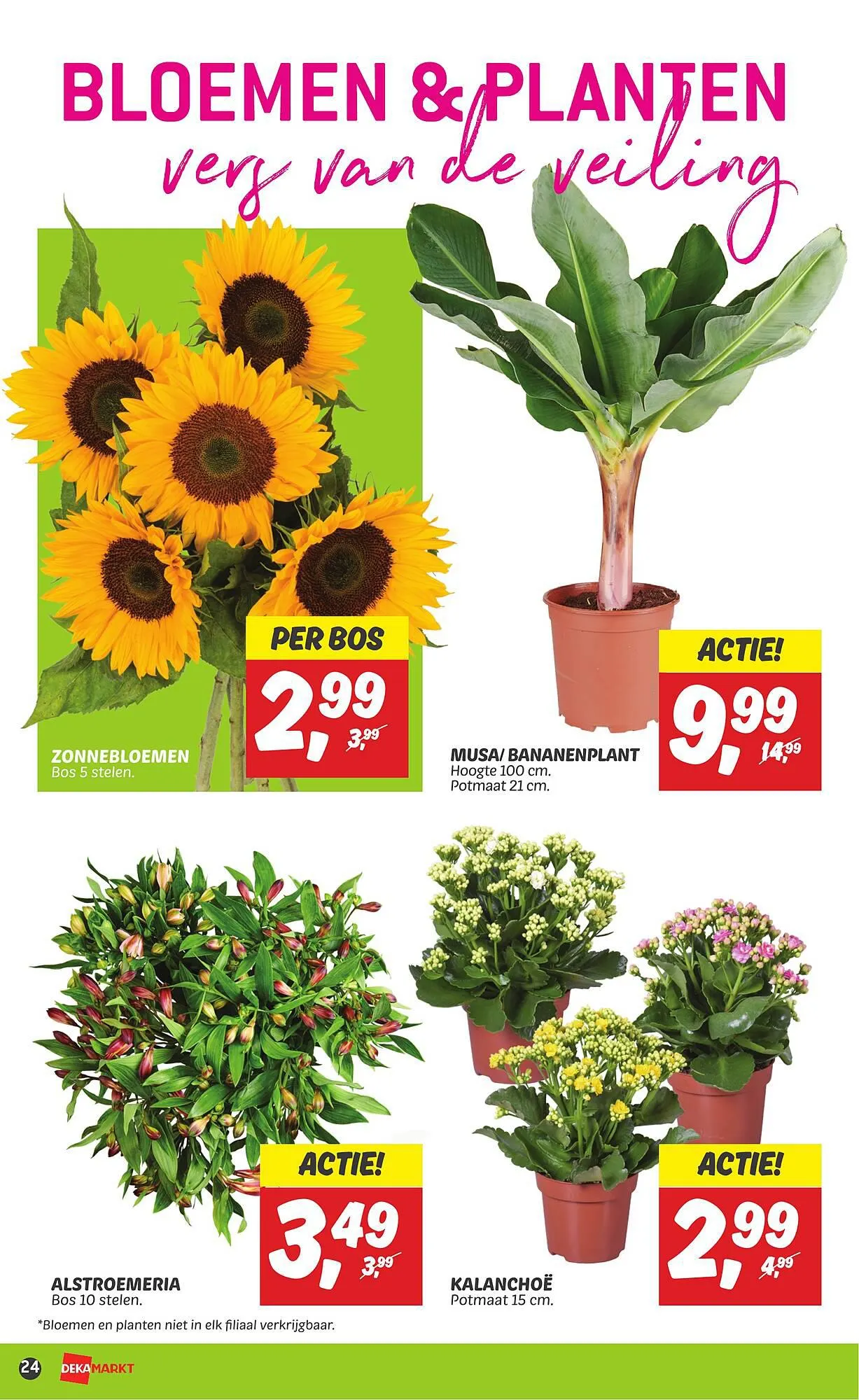 Dekamarkt folder week 35 van 27 augustus tot 2 september 2023 - Folder pagina 24