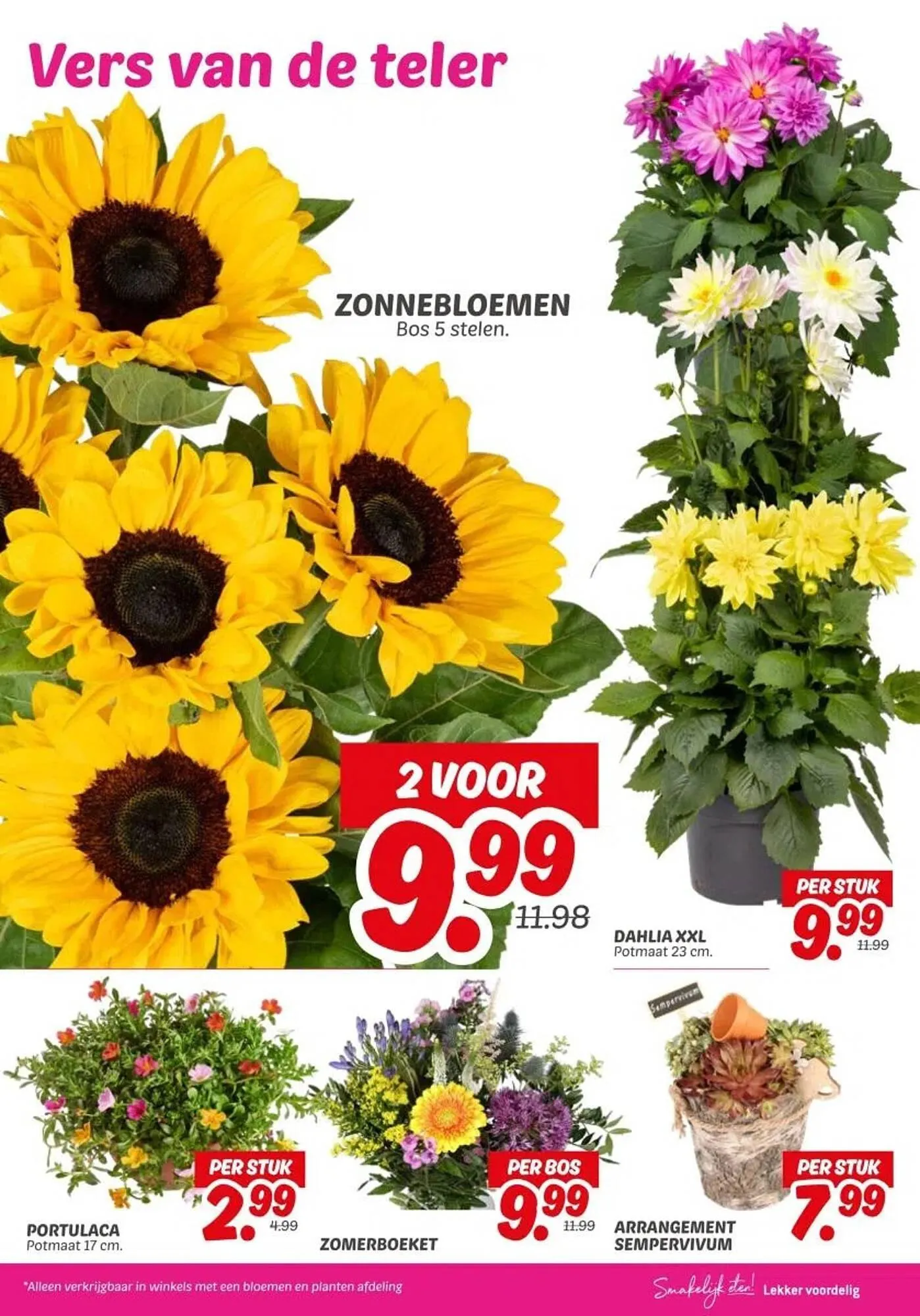 Dekamarkt folder van 17 juni tot 23 juni 2025 - Folder pagina 23