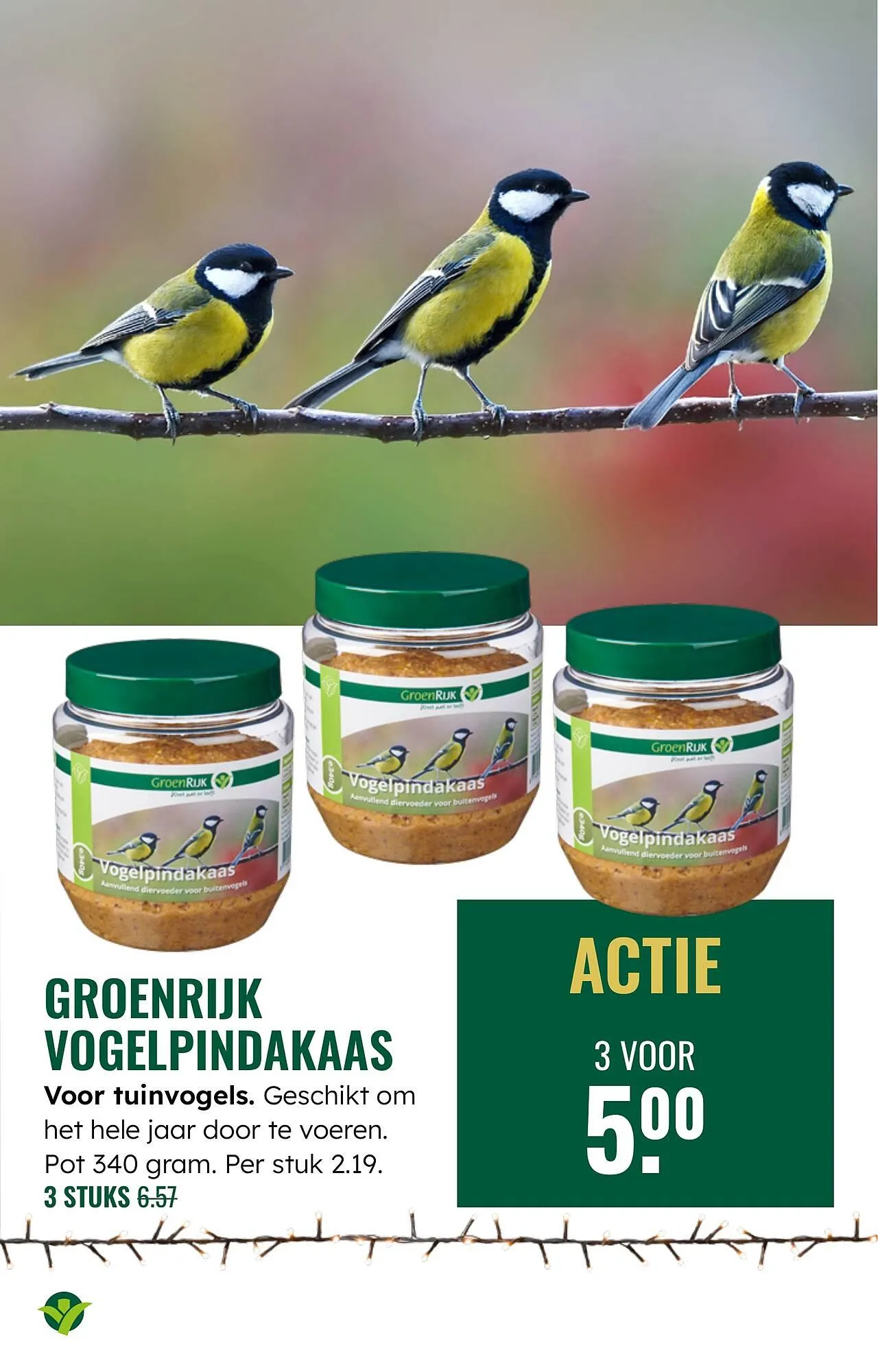 GroenRijk folder van 3 december tot 9 december 2025 - Folder pagina 25