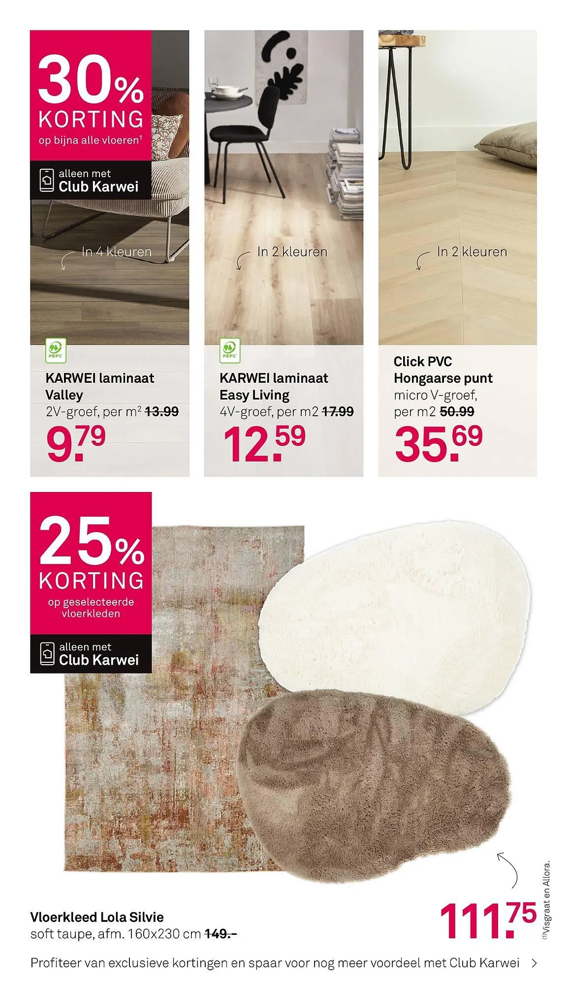 Karwei folder van 2 december tot 14 december 2025 - Folder pagina 13