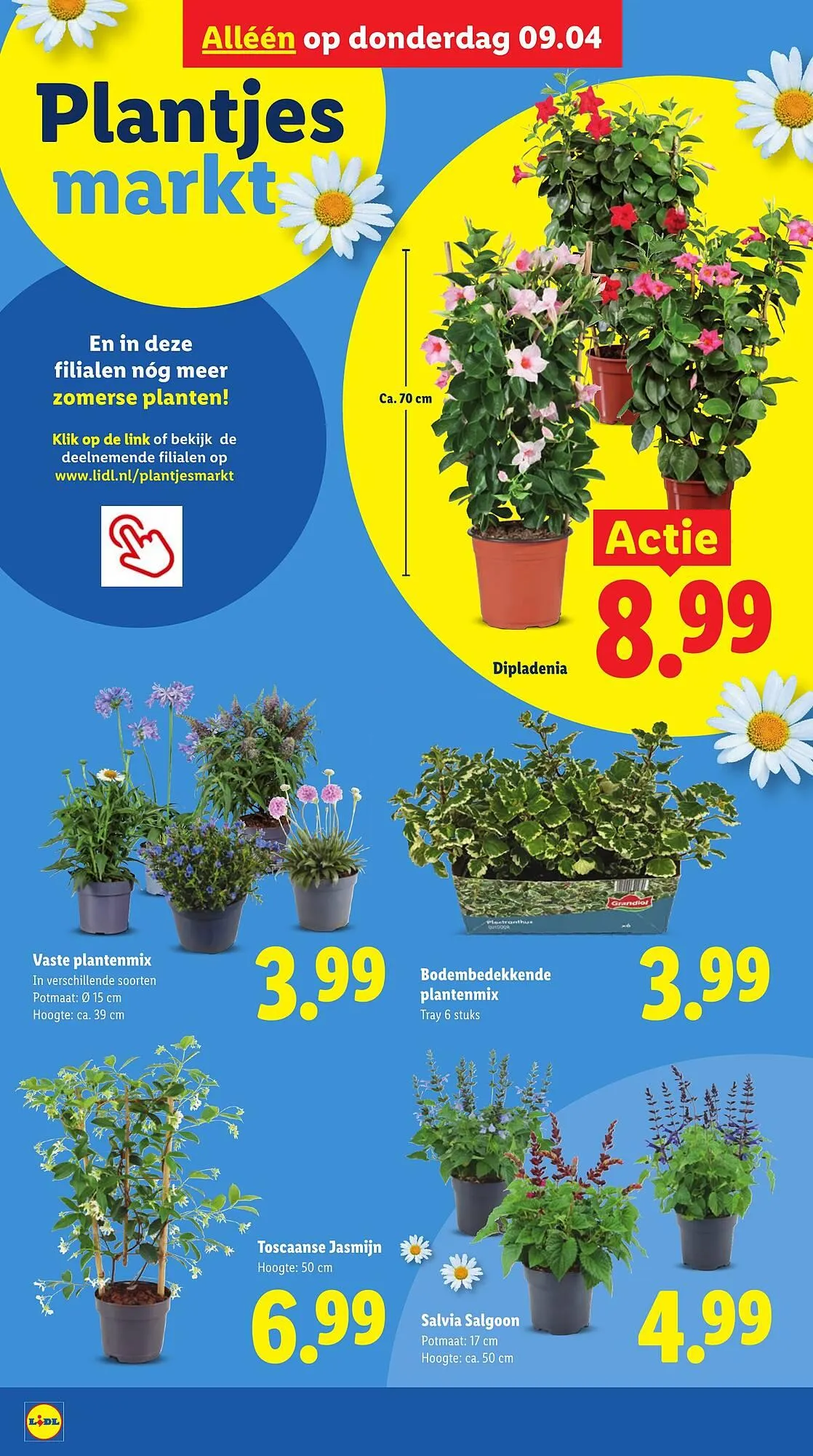 Lidl folder van 7 april tot 12 april 2026 - Folder pagina 37