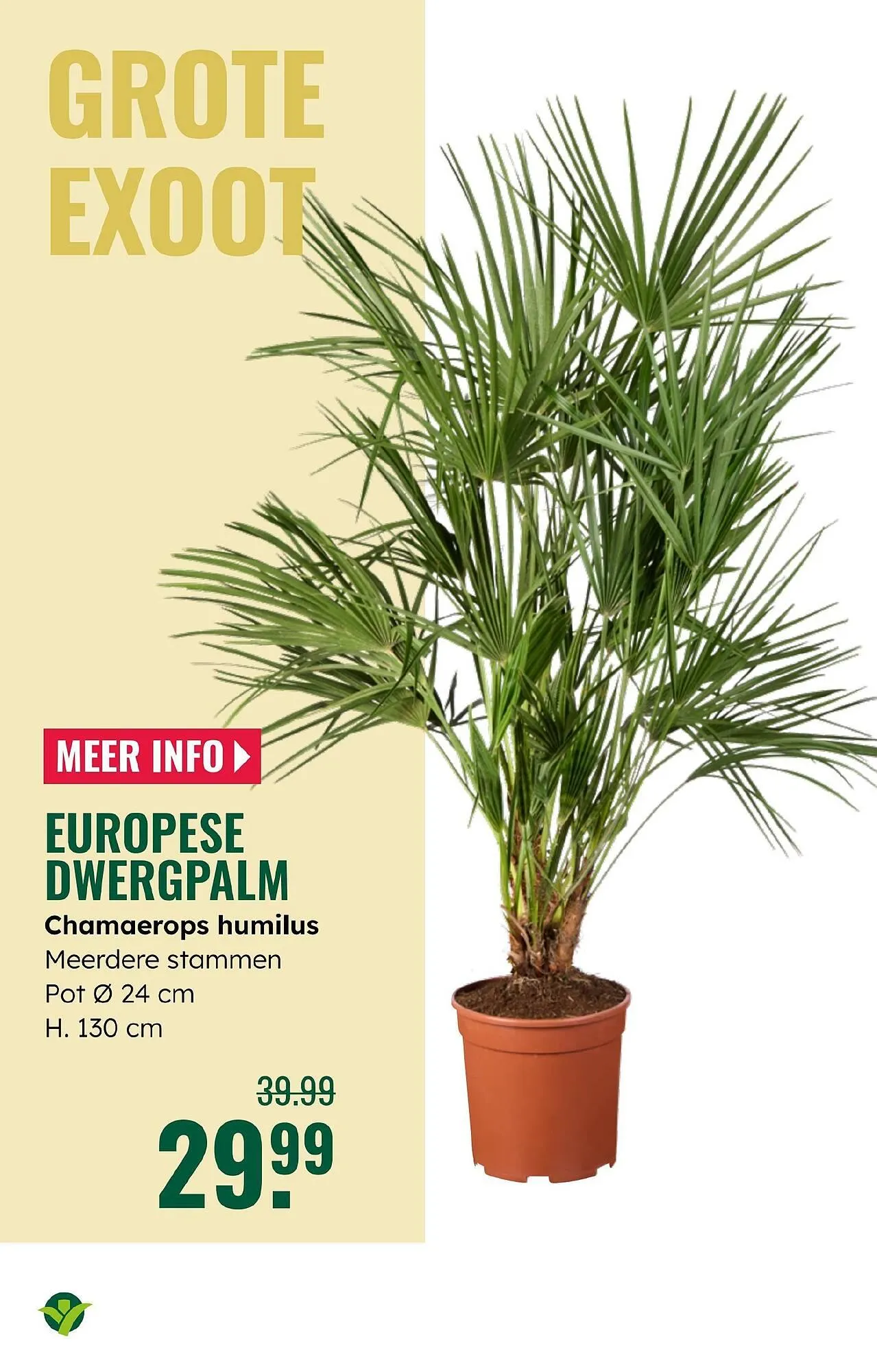 GroenRijk folder van 4 juni tot 17 juni 2025 - Folder pagina 18