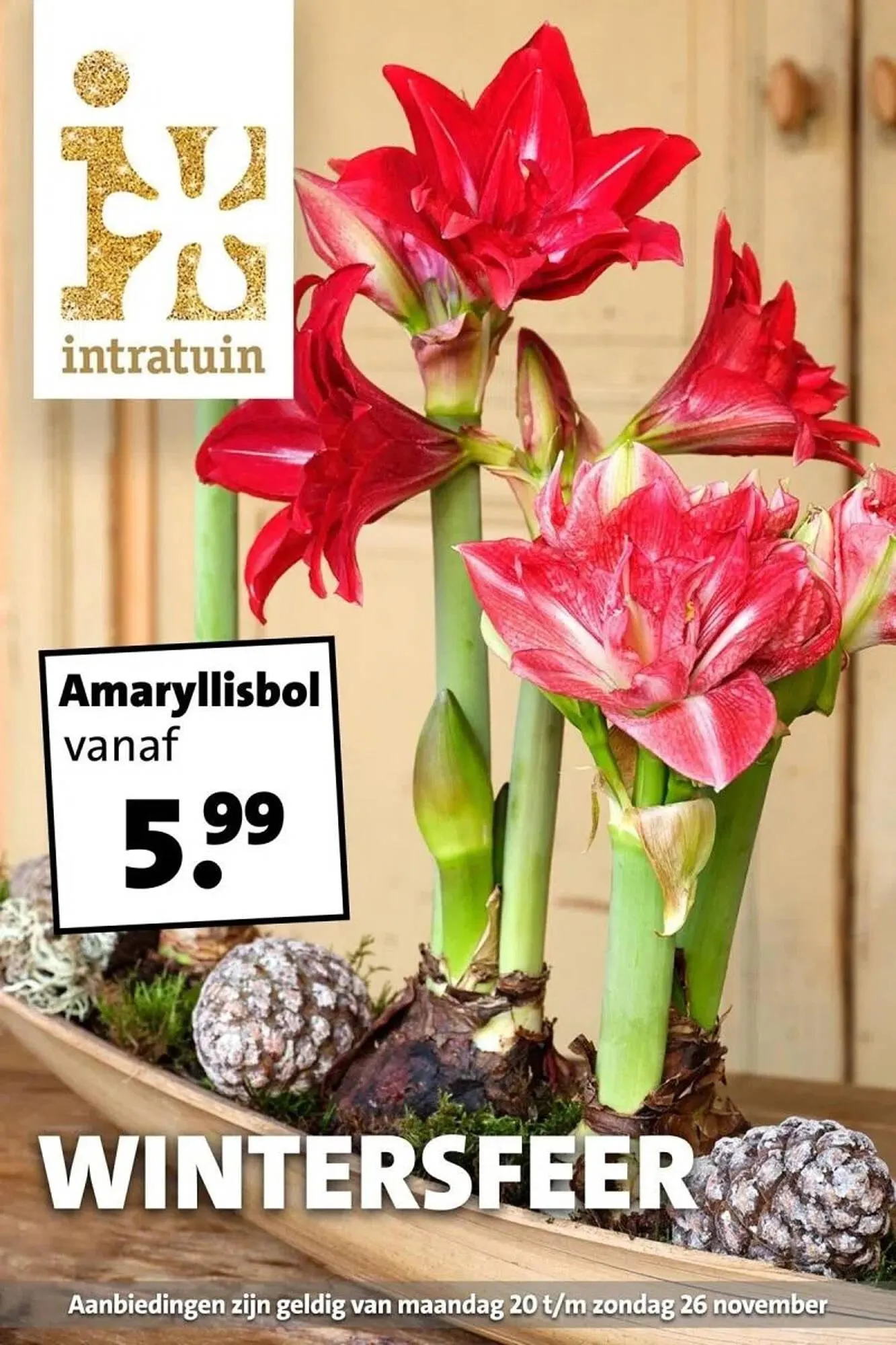 Intratuin folder van 20 november tot 26 november 2023 - Folder pagina 1