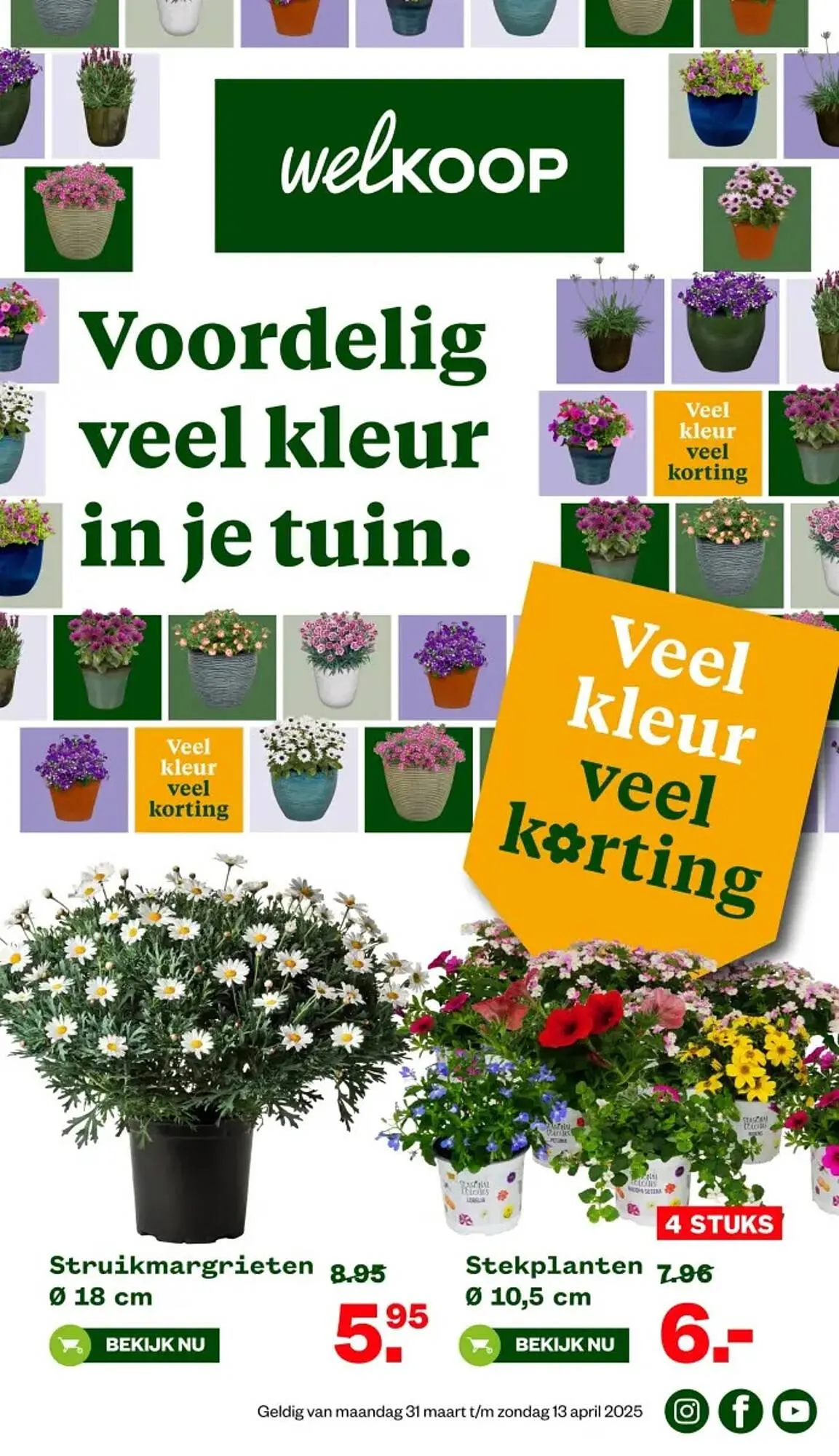 Welkoop folder - 1
