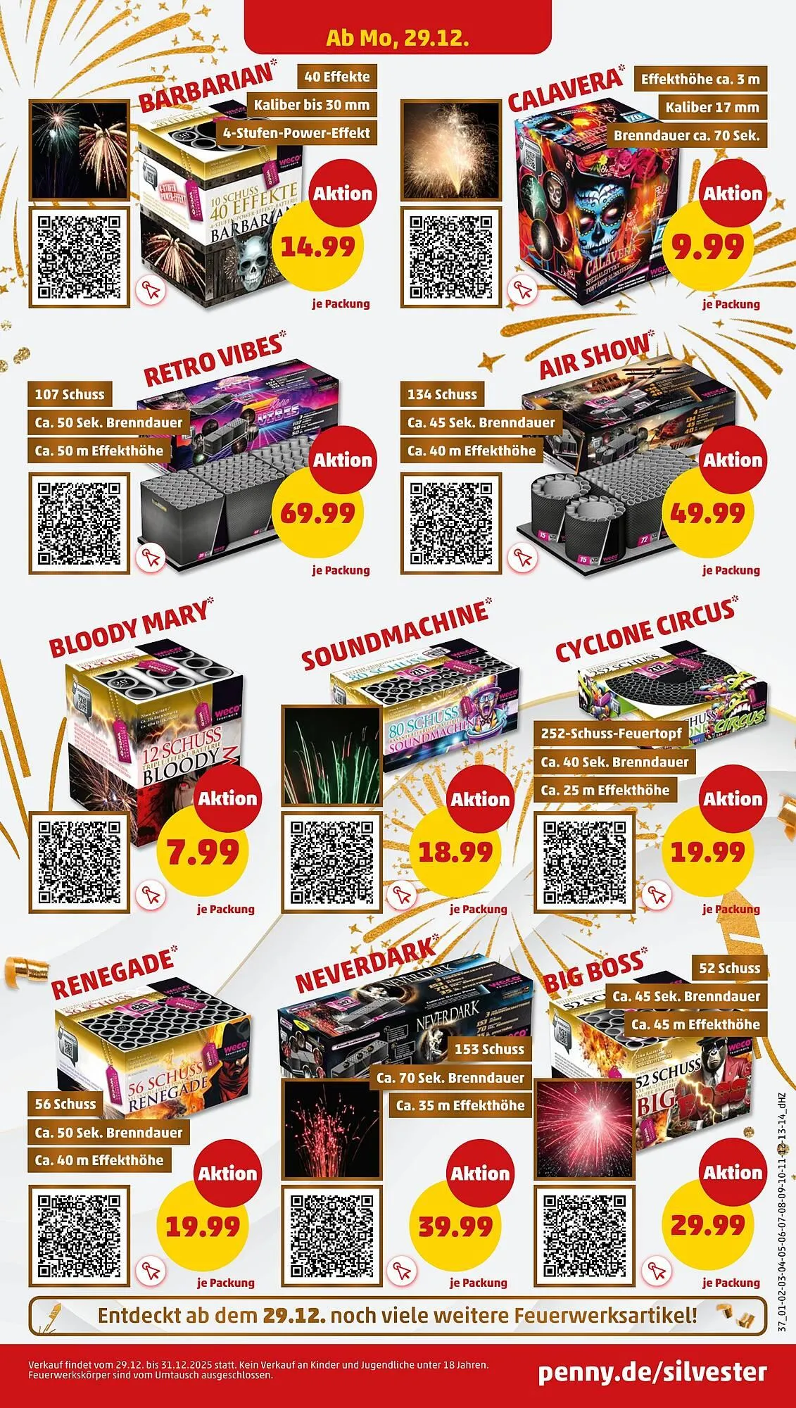 PENNY DE folder van 22 december tot 27 december 2025 - Folder pagina 41