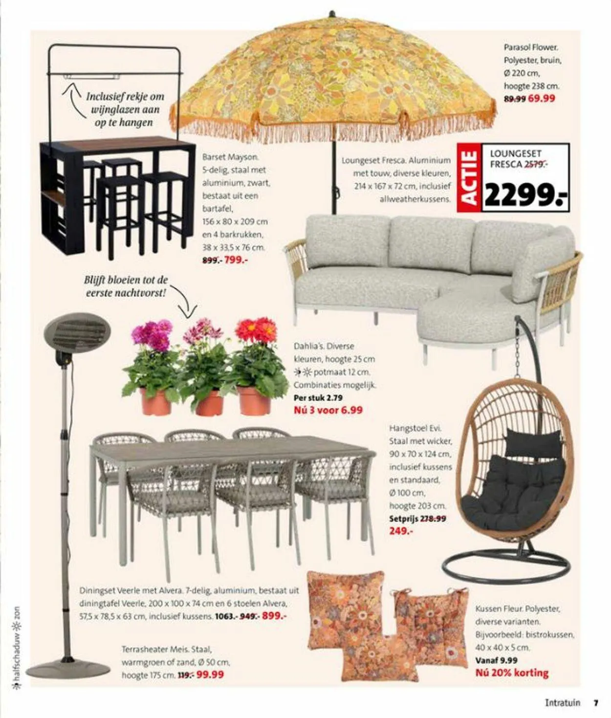 Intratuin van 19 mei tot 25 mei 2025 - Folder pagina 7