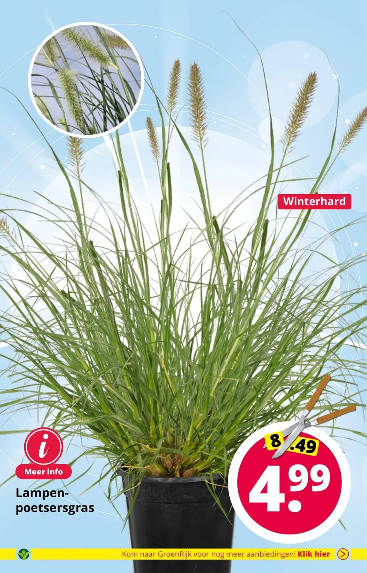 GroenRijk folder van 1 augustus tot 15 augustus 2023 - Folder pagina 7