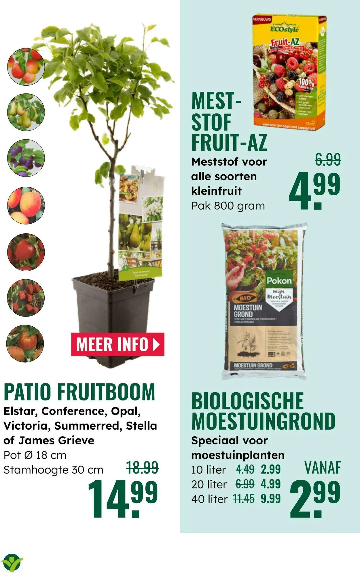 GroenRijk Actuele folder van 2 september tot 16 september 2025 - Folder pagina 16