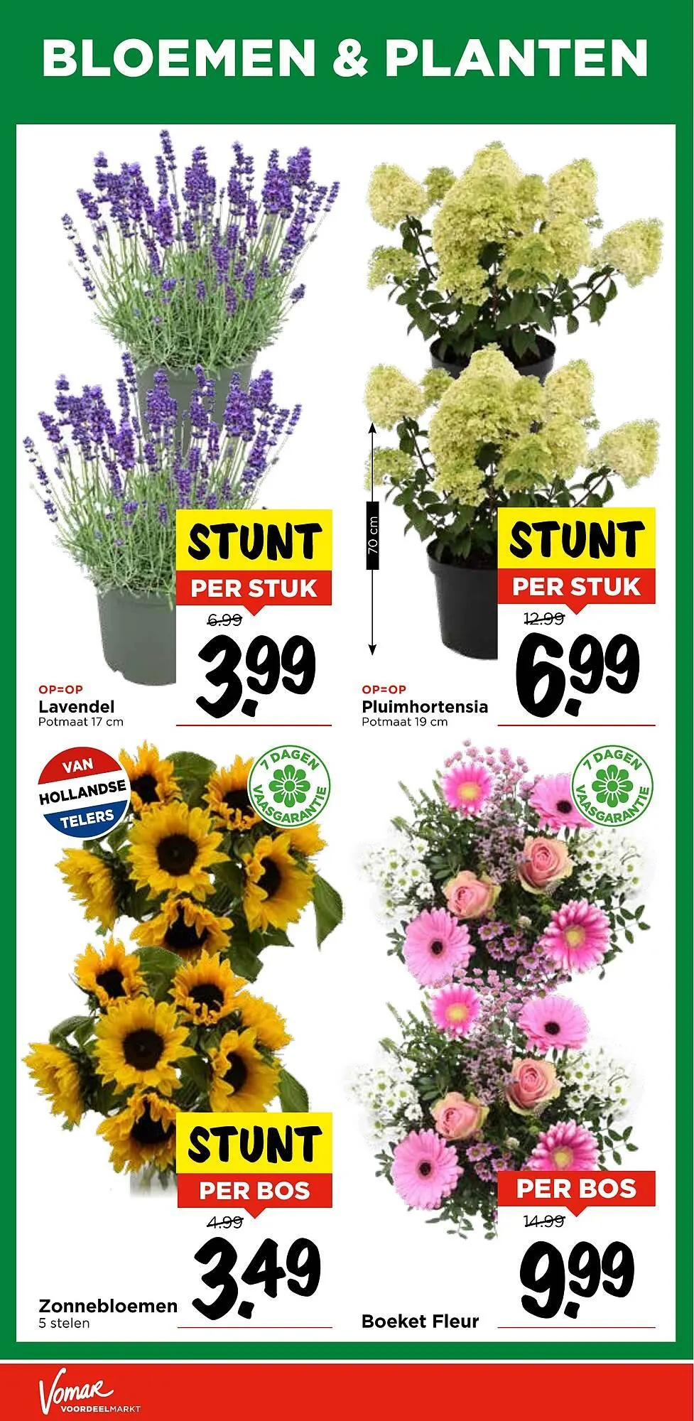 Vomar folder van 13 juli tot 19 juli 2025 - Folder pagina 31